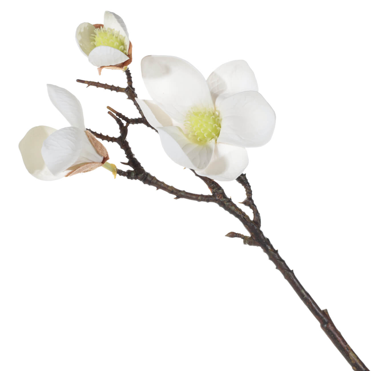 Decorative branch, 42 cm, plastic / steel, White magnolia, Magnolia изображение № 1
