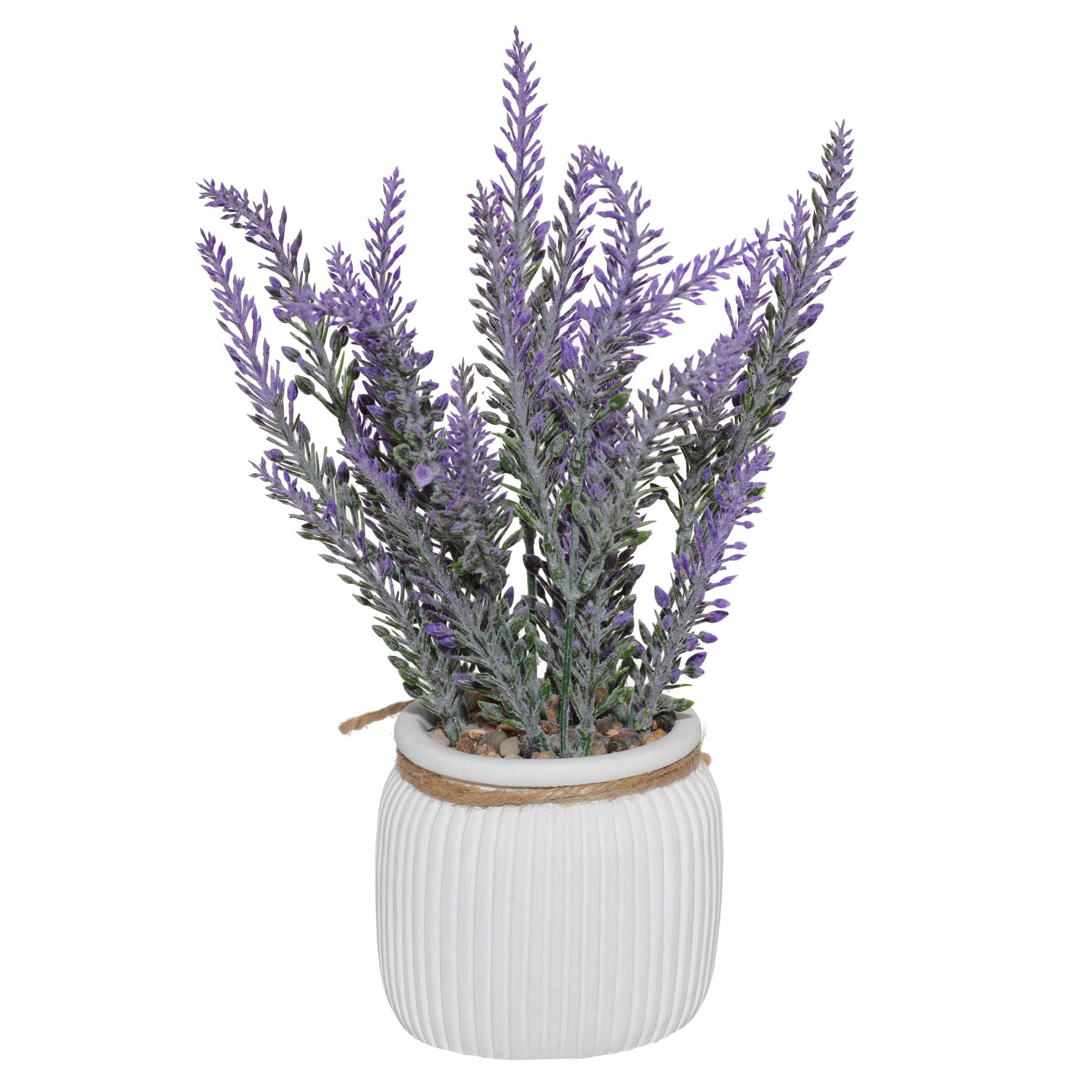 Artificial plant, 26 cm, potted, ceramic / plastic, Lavender, New bunch изображение № 2