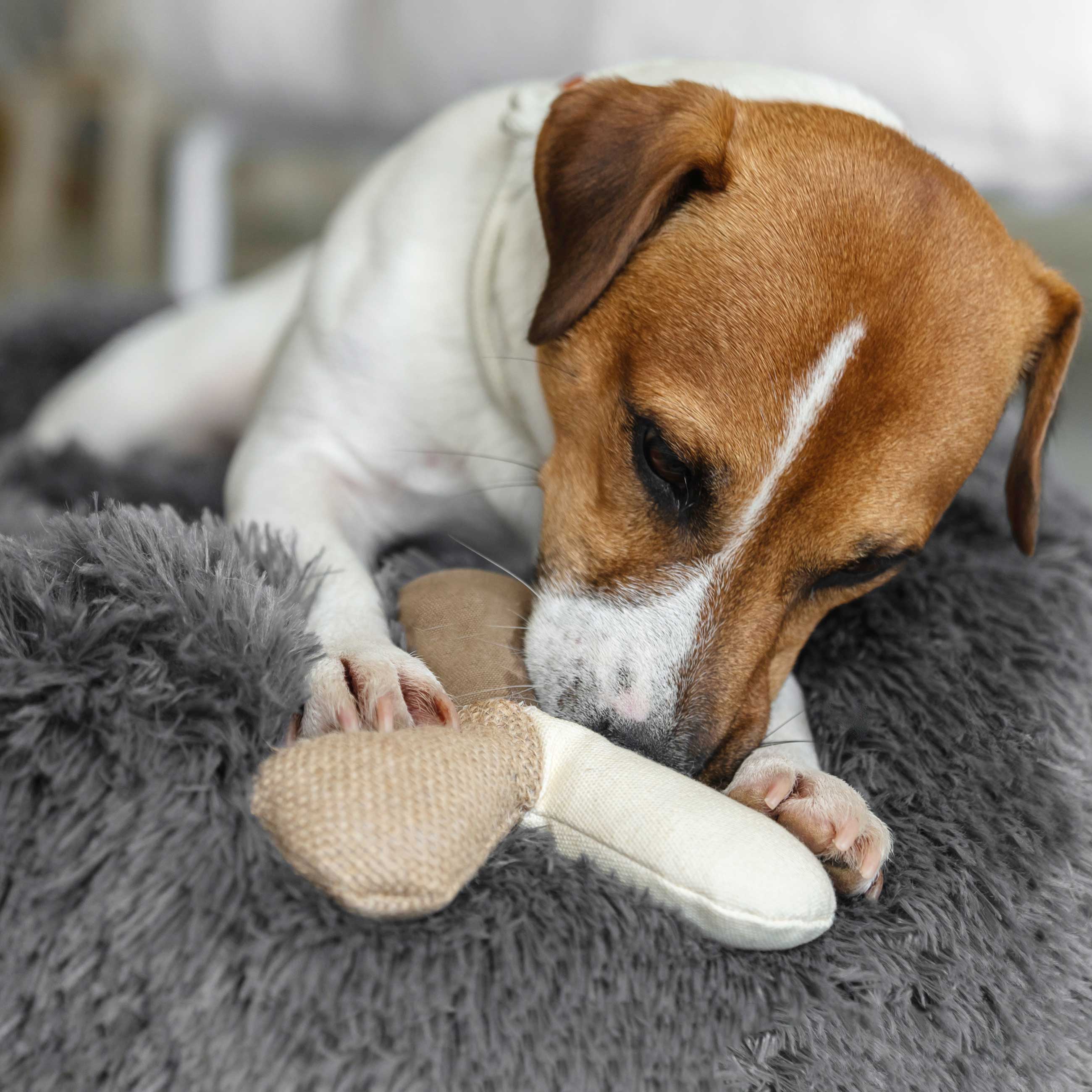 Dog toy, 17 cm, with squeaker, Polyester, beige, Boomerang, Frisky pet изображение № 3