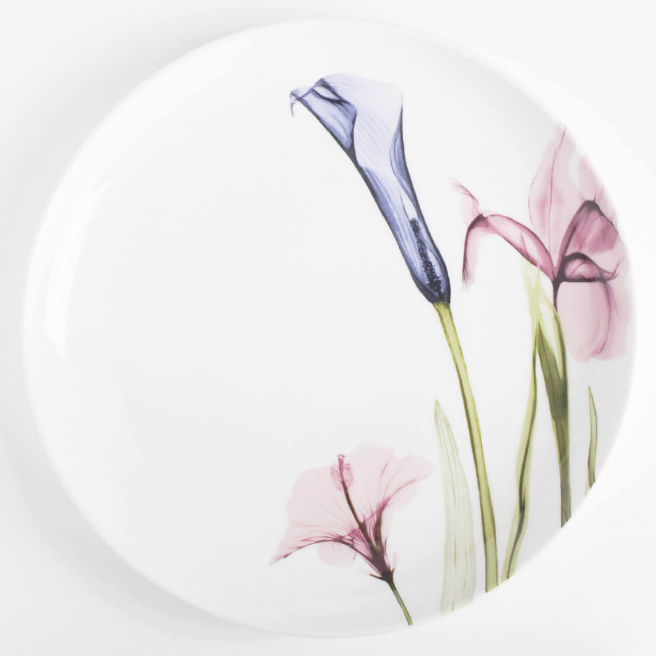 Dinner plate, 27 cm, porcelain N, white, Pastel flowers изображение № 1
