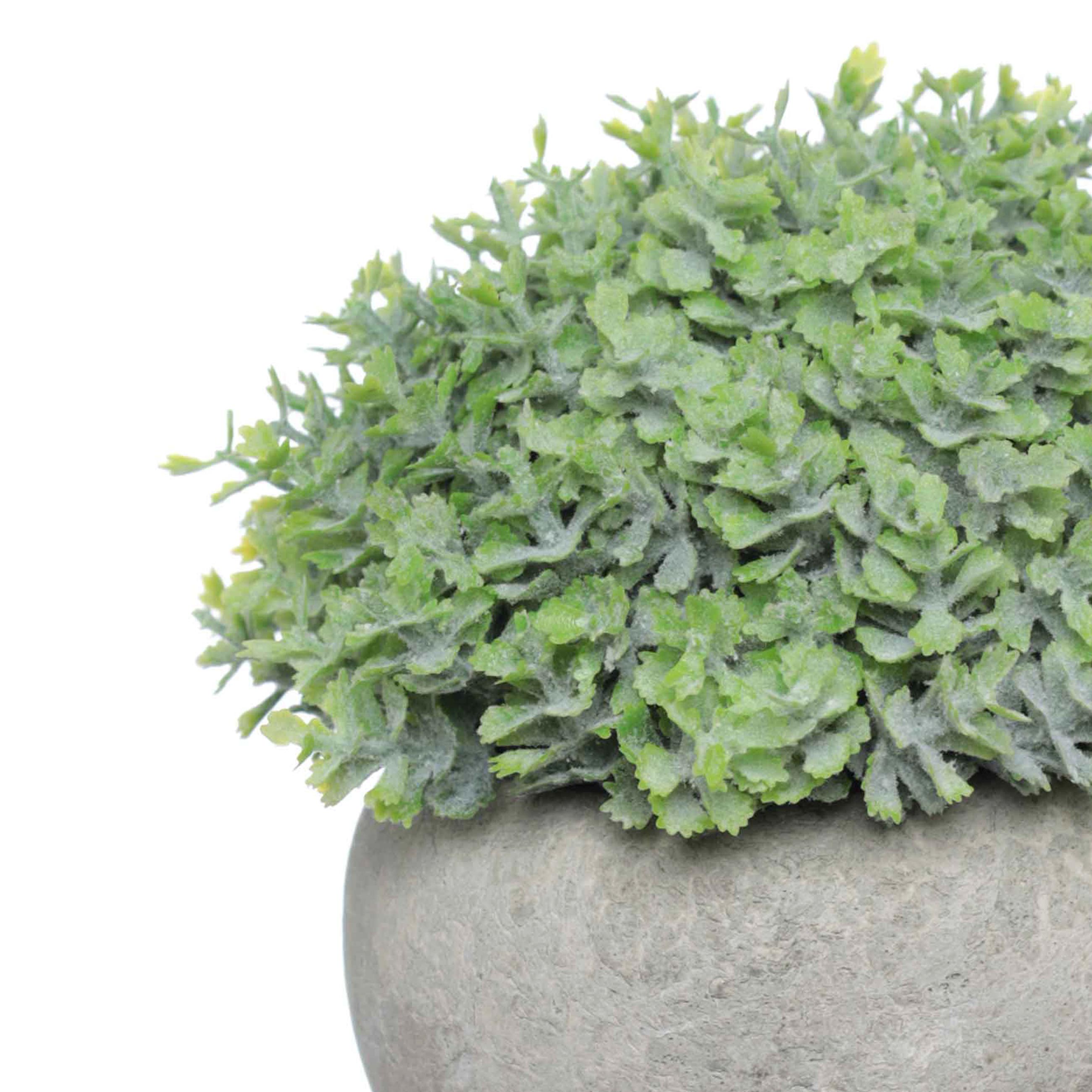 Artificial plant, 16 cm, potted, cement / plastic, Pot garden изображение № 2