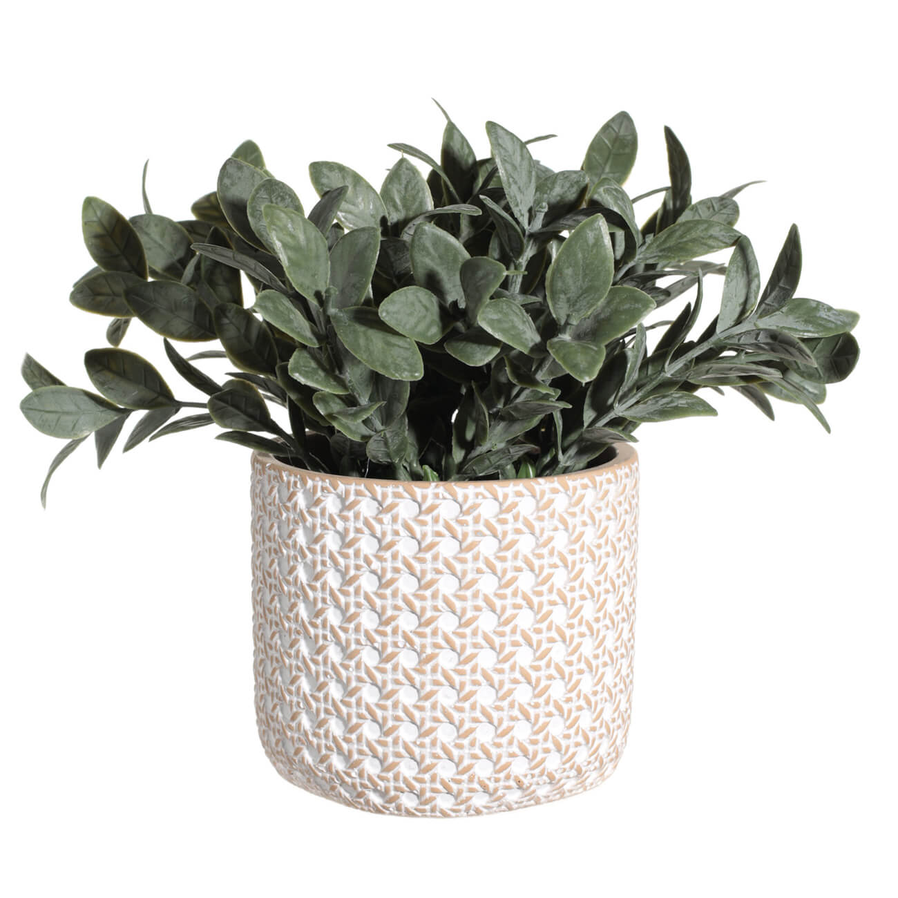 Artificial plant, 18 cm, potted, plastic / ceramic, Aglaonema, New bunch изображение № 1