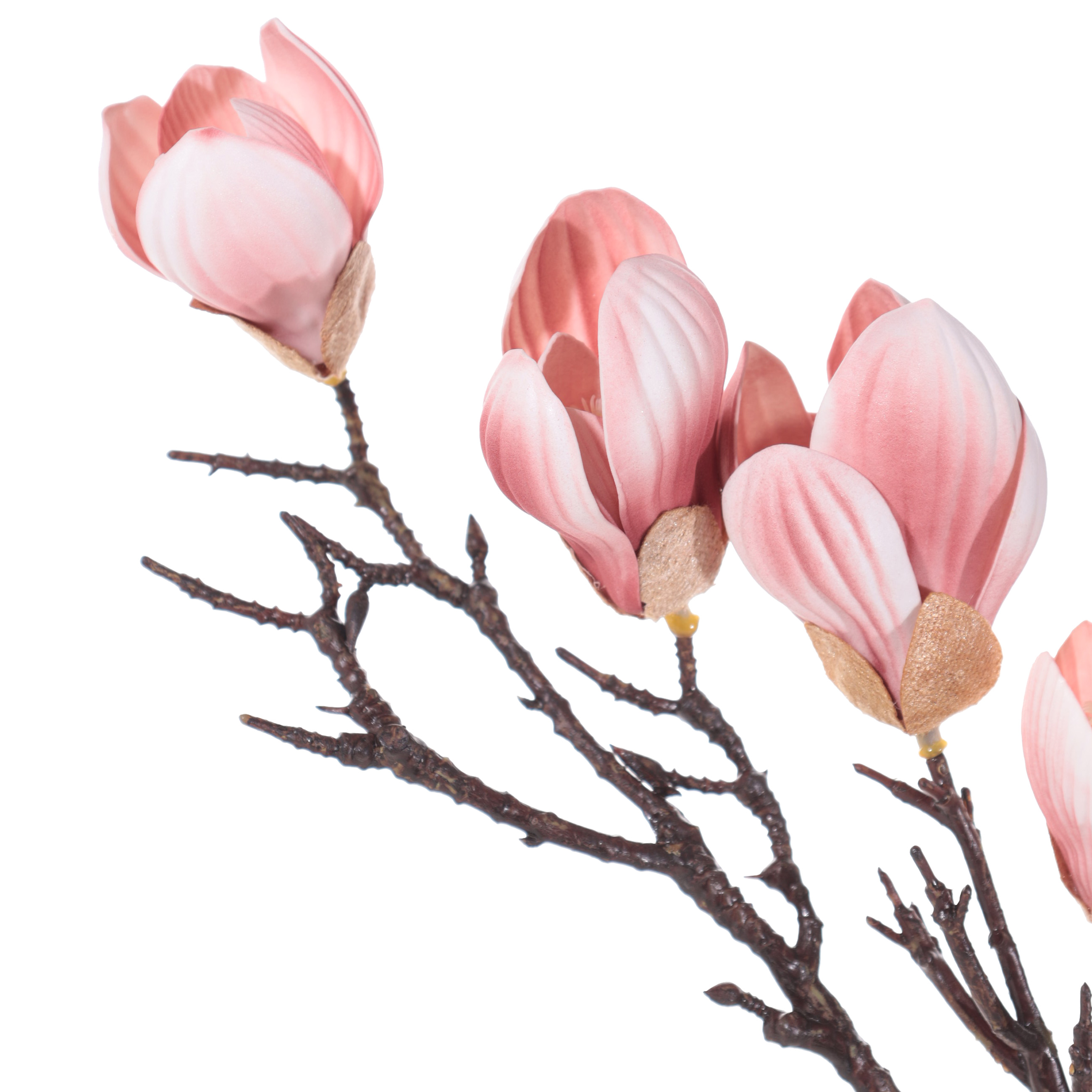 Decorative branch, 55 cm, plastic / steel, Pink magnolia, Magnolia изображение № 2