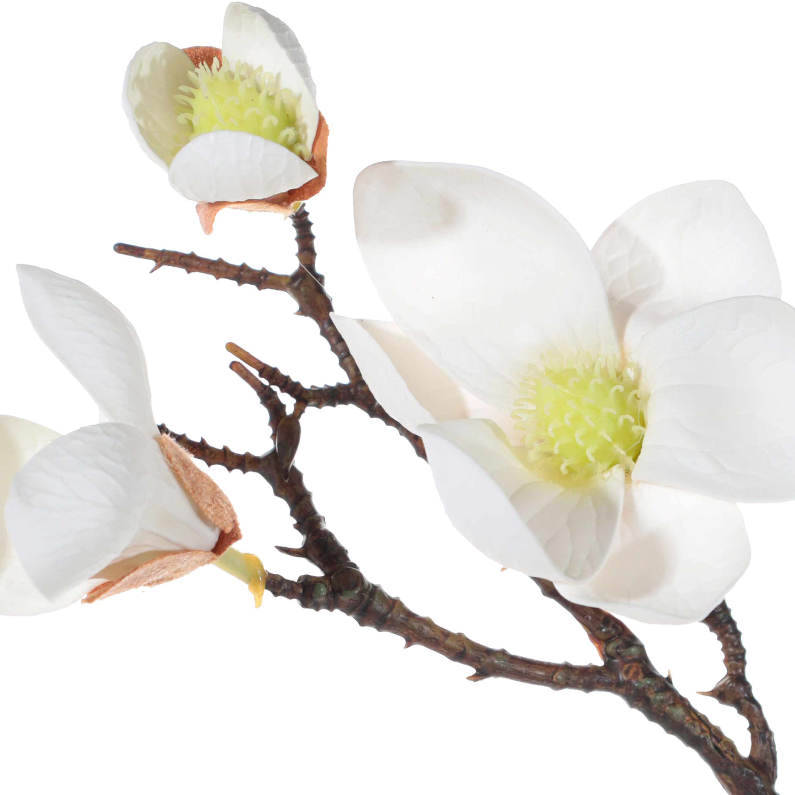 Decorative branch, 42 cm, plastic / steel, White magnolia, Magnolia изображение № 2