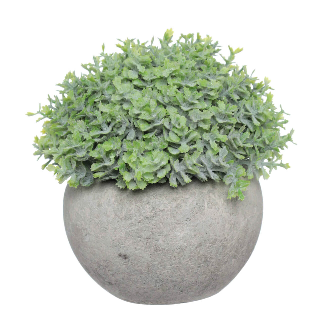 Artificial plant, 16 cm, potted, cement / plastic, Pot garden изображение № 1