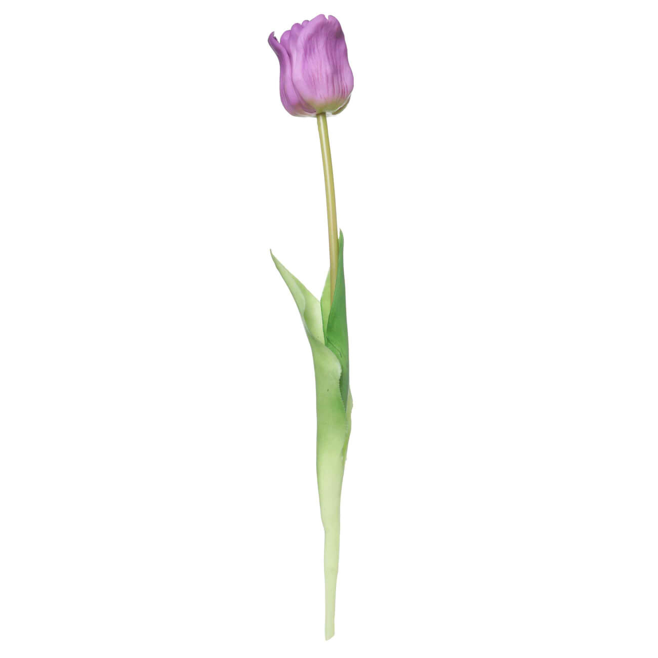 Artificial flower, 47 cm, TEP, purple, Tulip, Tulip garden изображение № 1