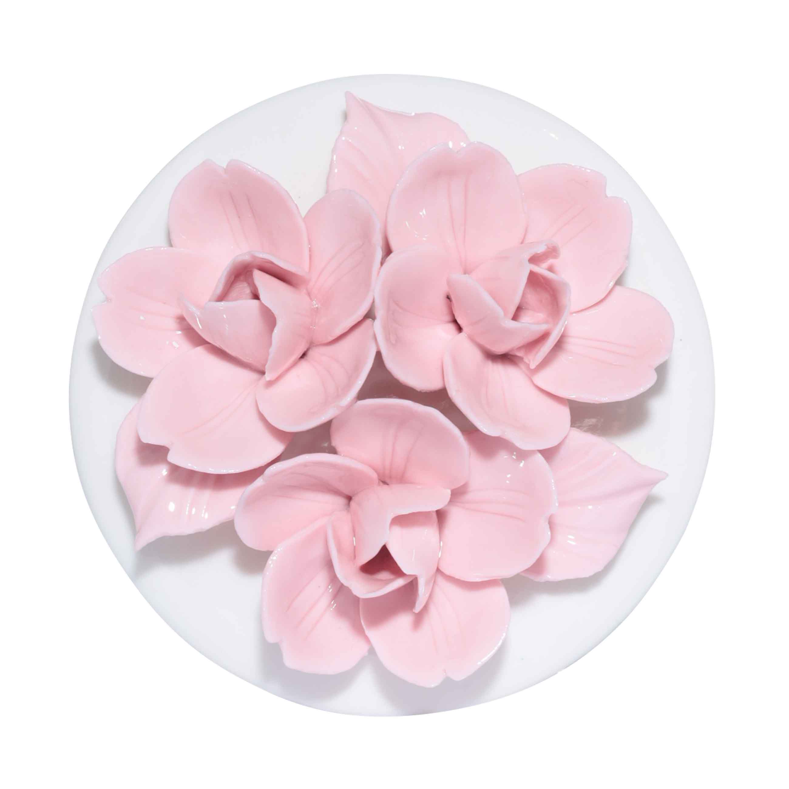 Jewelry box, 11x9 cm, ceramic, white, Flowers, Magnolia изображение № 4