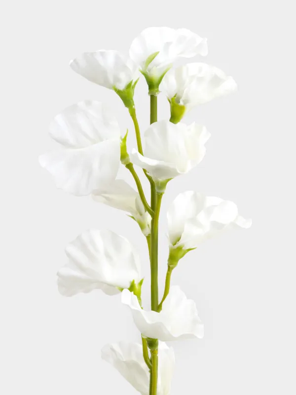 Decorative branch, 70 cm, plastic / polyester, White lisianthus, Flower garden, image-2