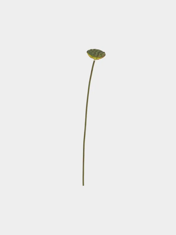 Artificial flower, 76 cm, polyurethane, Lotus, Flower garden, image-0