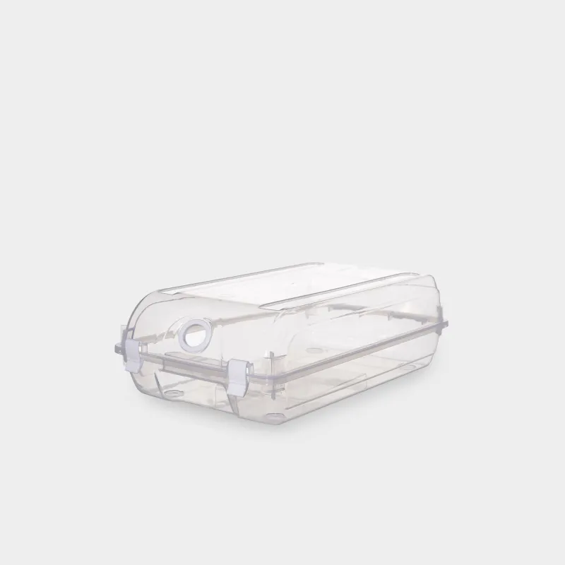 Shoe box organizer, 32x19 cm, plastic, Compact