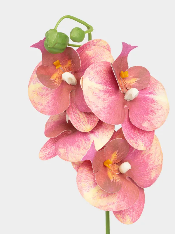 Artificial plant, 34 cm, in a pot, TPE / ceramic, Red Orchid, Orchid, image-1