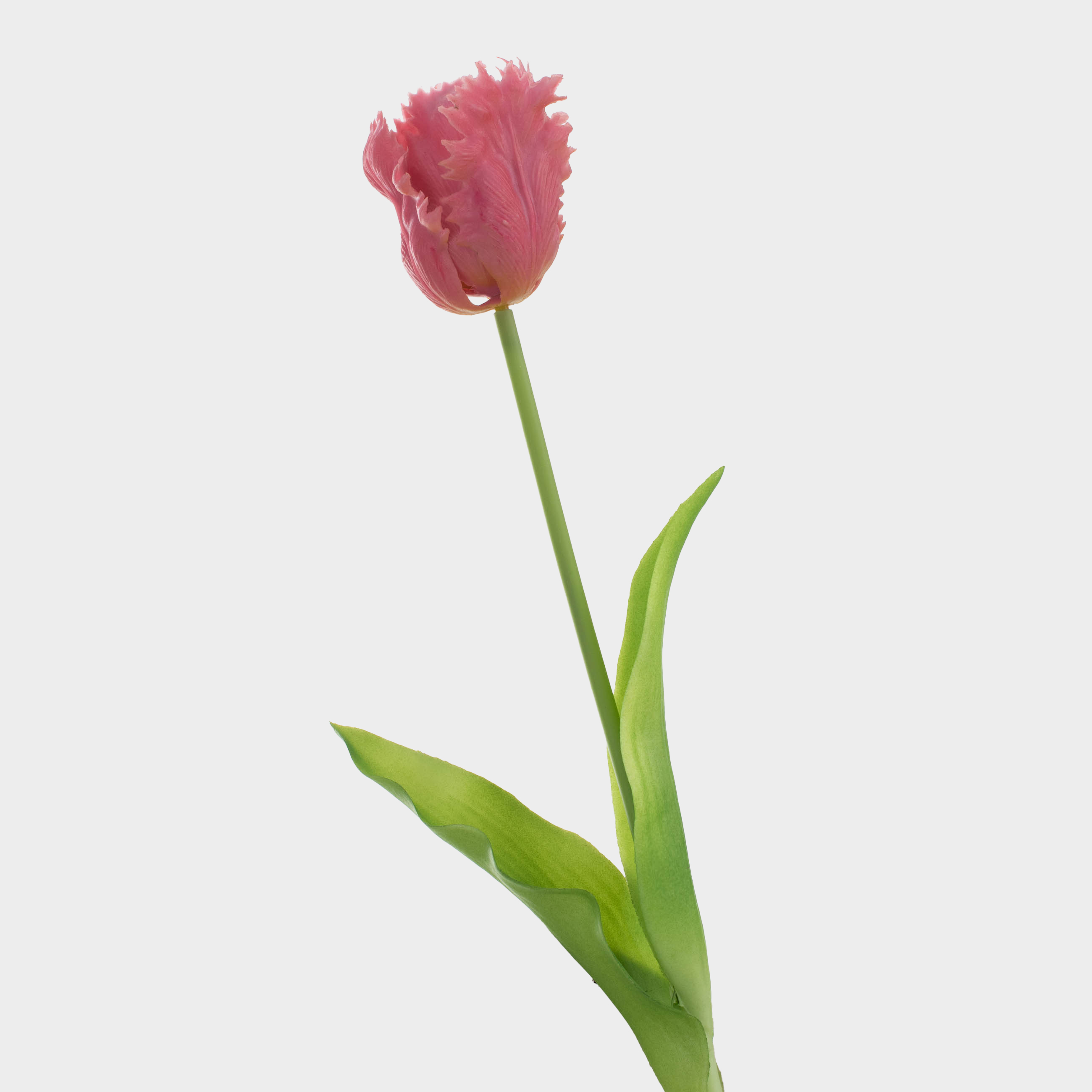 Artificial flower, 47 cm, TEP, Purple tulip, Tulip garden, image-0