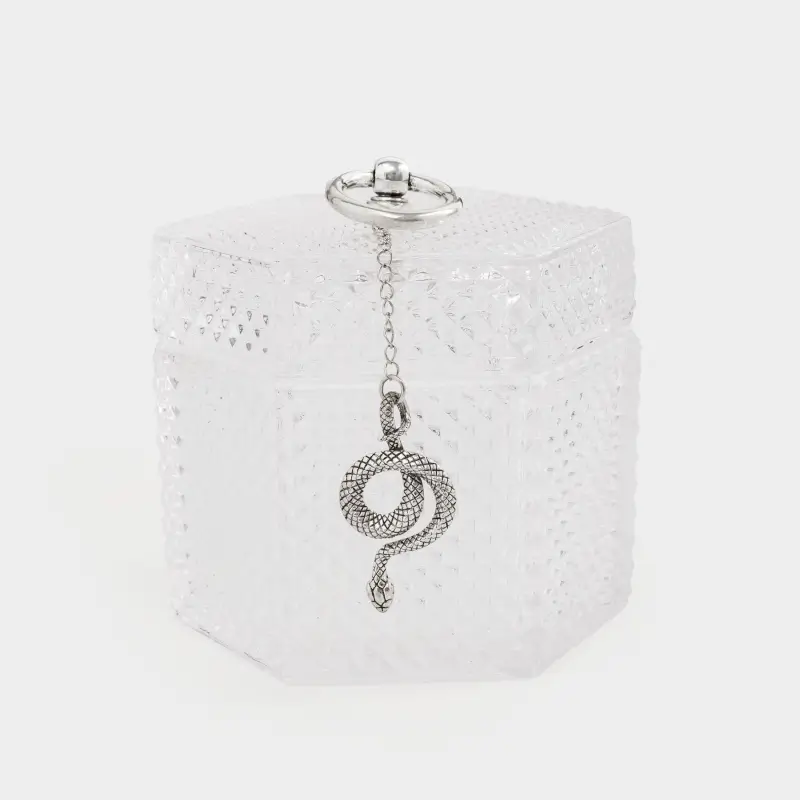 Storage container, 10x11 cm, glass / metal, gray-green, Snake on a chain, Naiad