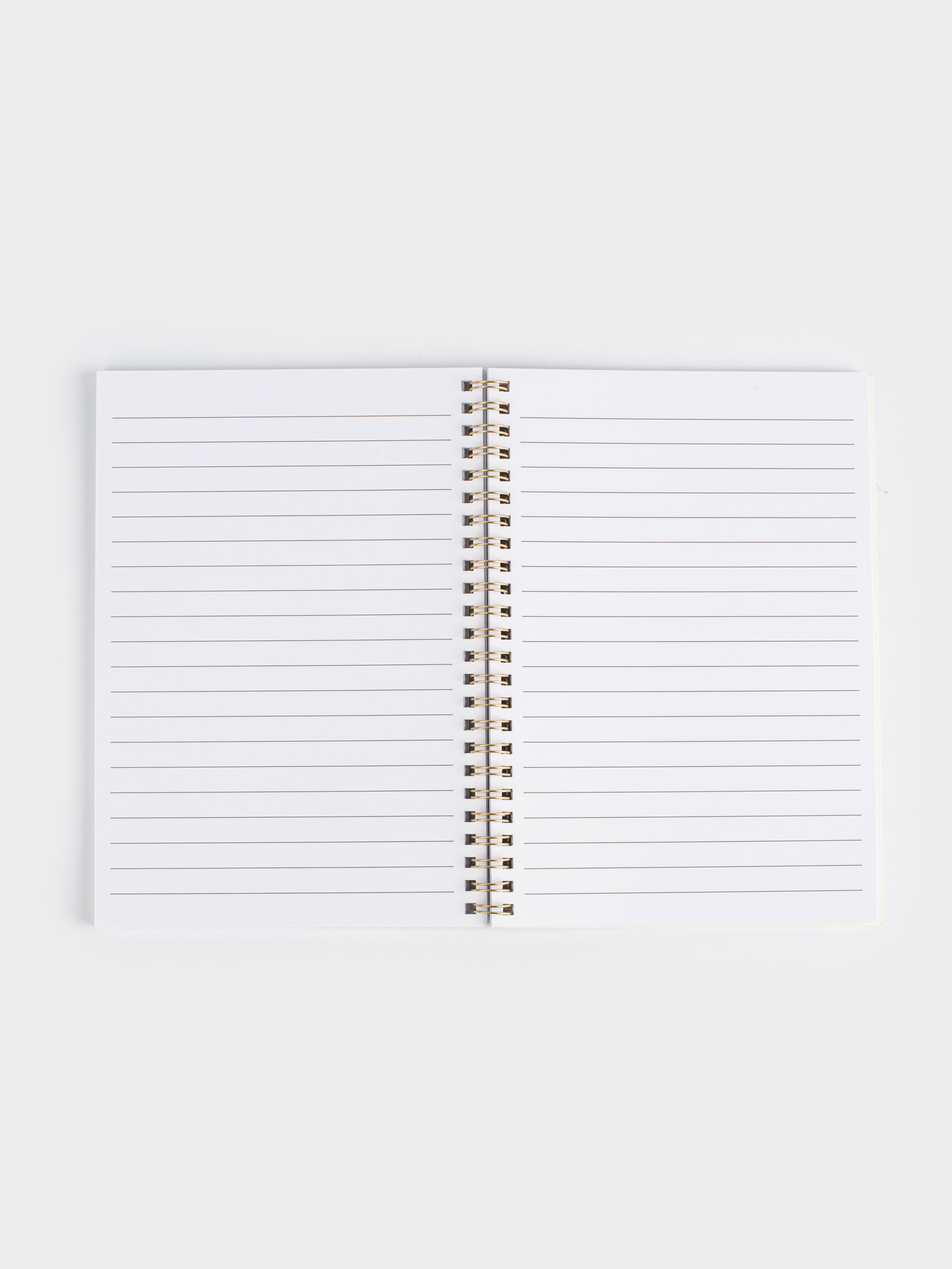 Notepad for notes, 15x20 cm, 80 l, on rings, PVC, Cat-unicorn, Cat-unicorn, image-2