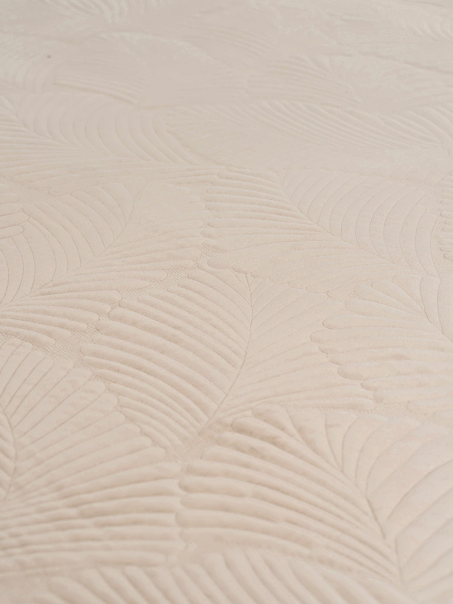 Bedspread, 240x260 cm, quilted, polyester, beige / gray, Palm leaf, Stitch velvet, image-4