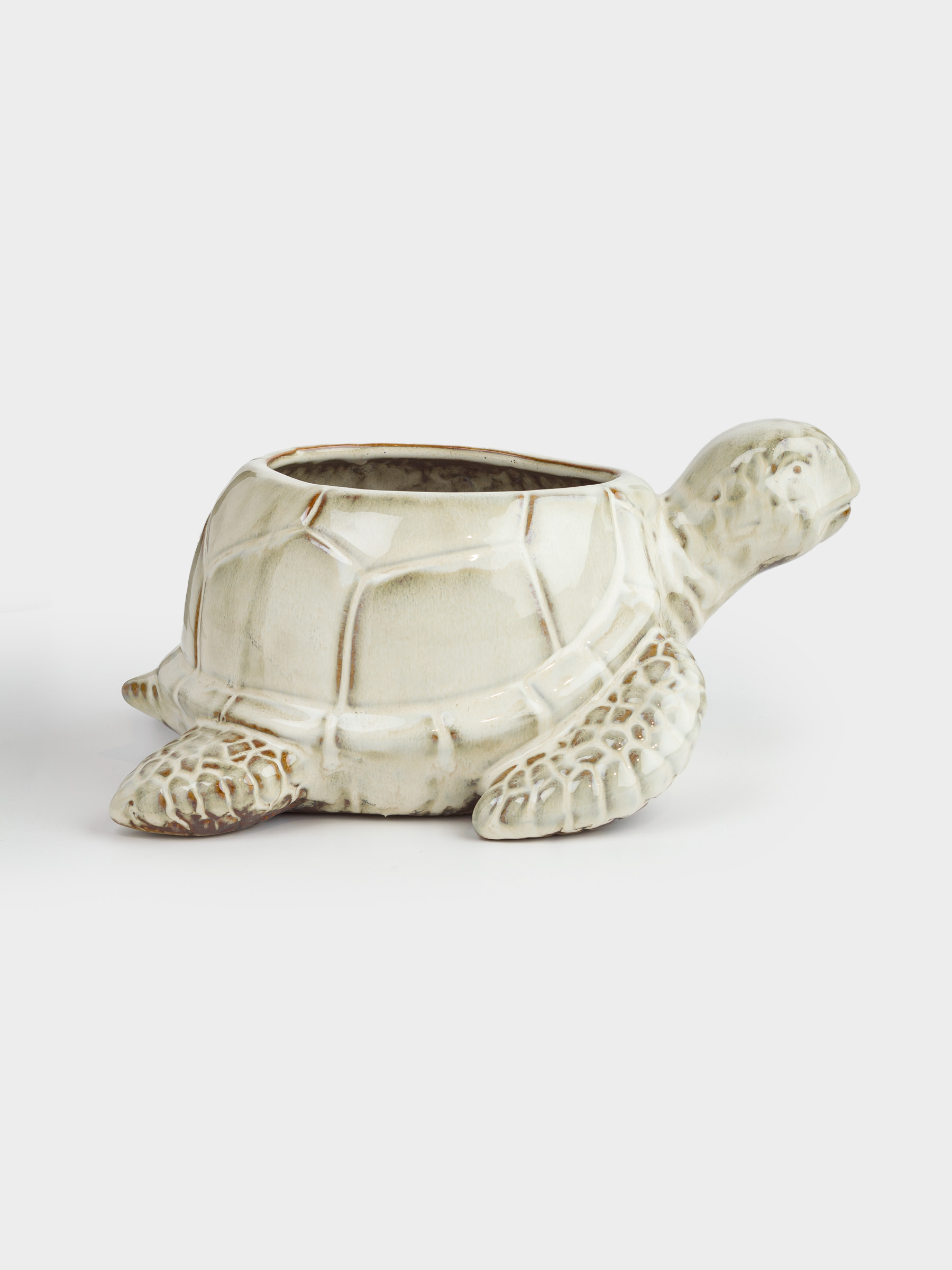 Candy bowl, 25x13 cm, porcelain P, beige-brown, Turtle, Grand turtle, image-0