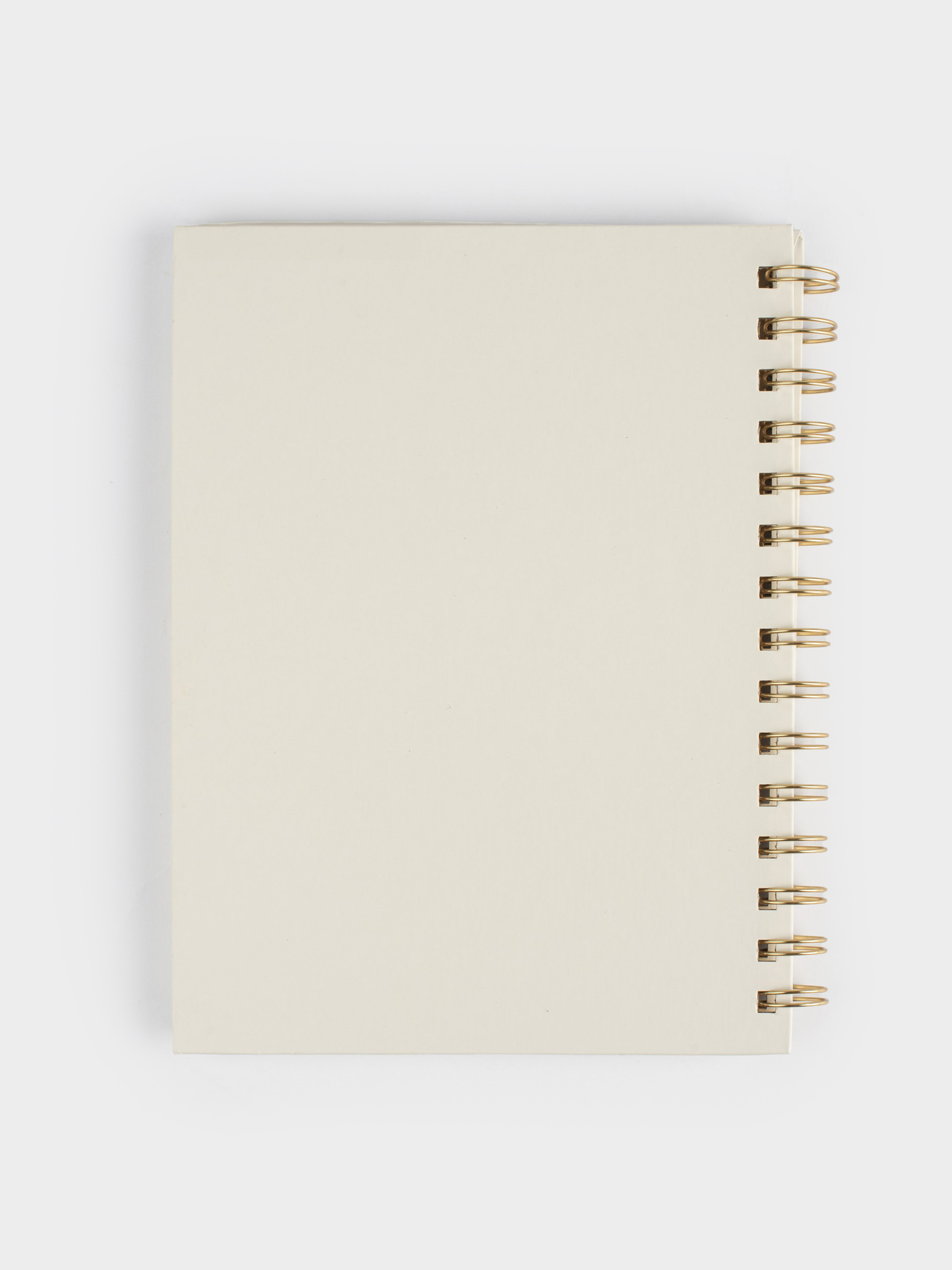 Notepad for notes, 15x20 cm, 70 l, on rings, PVC, Sphere with glitter, Stationery, image-1