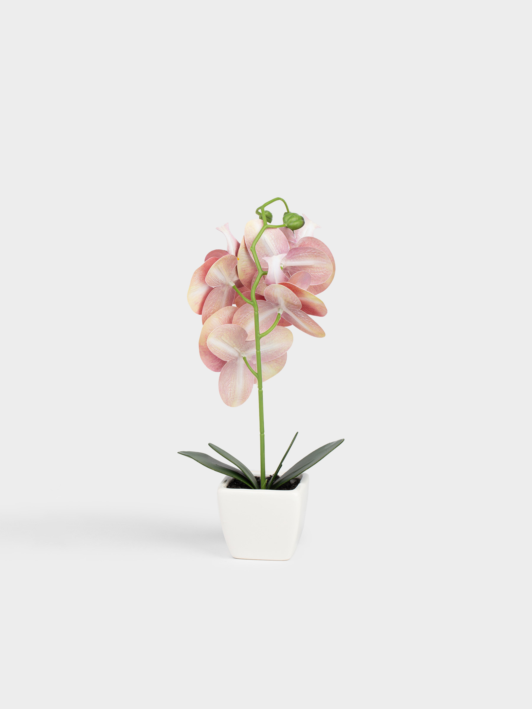Artificial plant, 34 cm, in a pot, TPE / ceramic, Red Orchid, Orchid, image-3