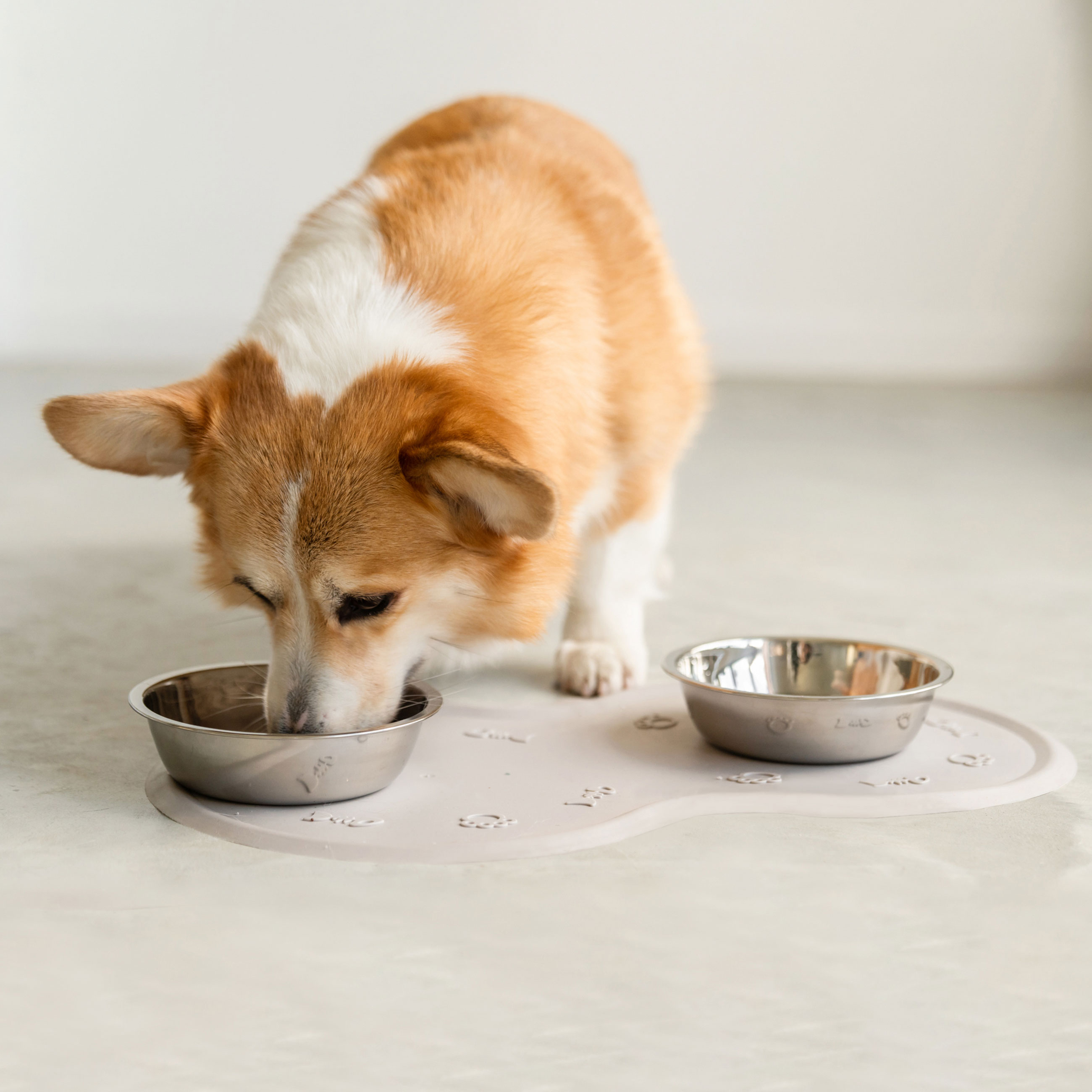 Pet bowl mat, 45x25 cm, rubber, gray-beige, Favorite pet, image-2