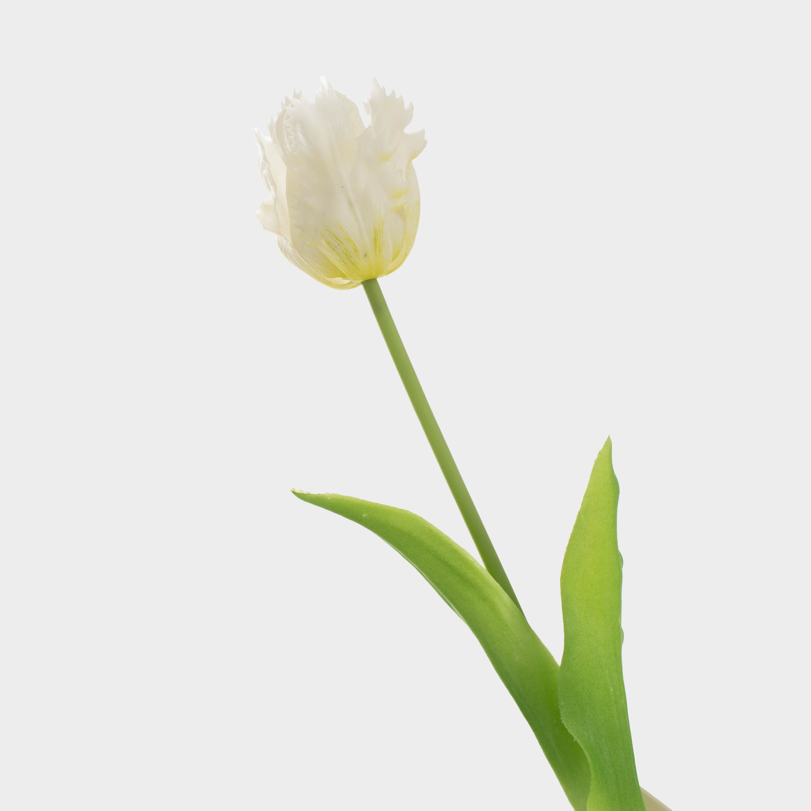 Artificial flower, 47 cm, TEP, White tulip, Tulip garden, image-0