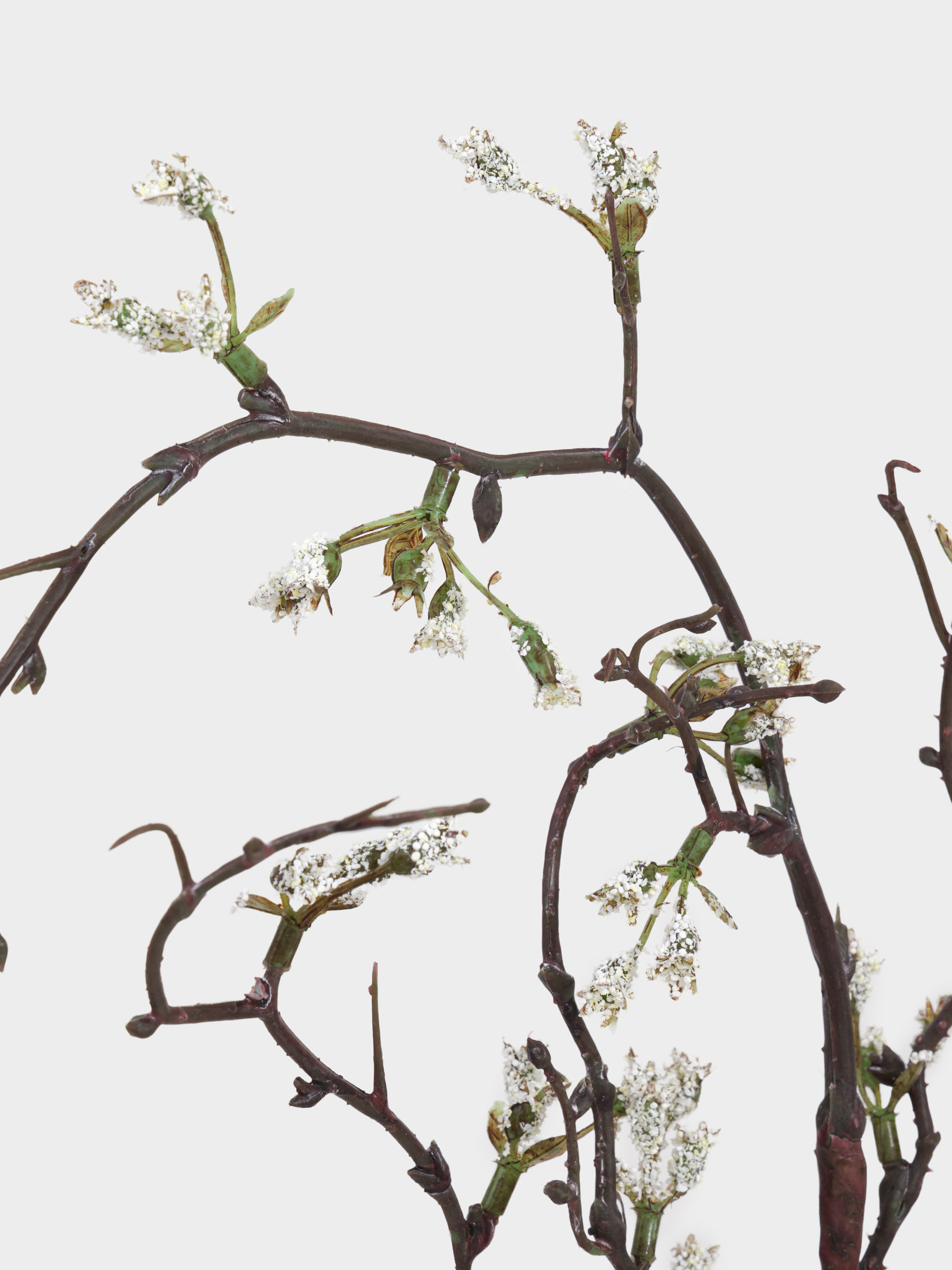 Decorative branch, 98 cm, plastic / polyester, White buds, Flower garden, image-3
