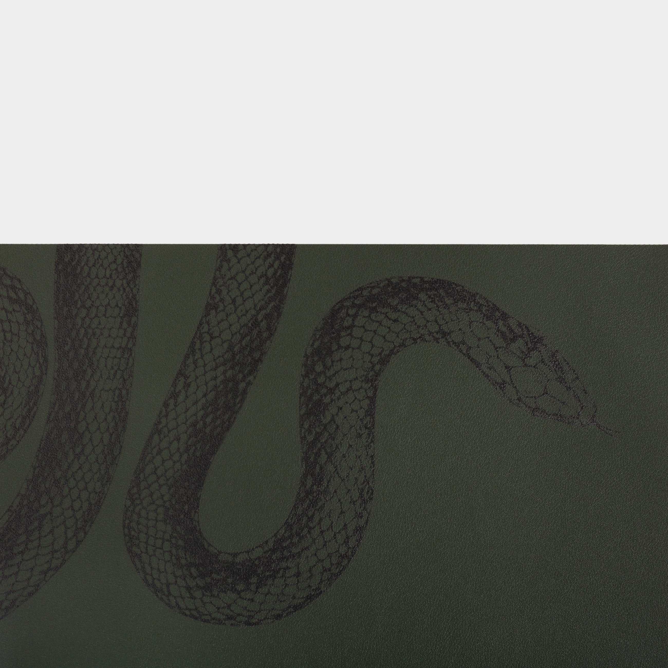 Placemat, 30x45 cm, PVC, rectangular, dark green, Snake, Rock print, image-0