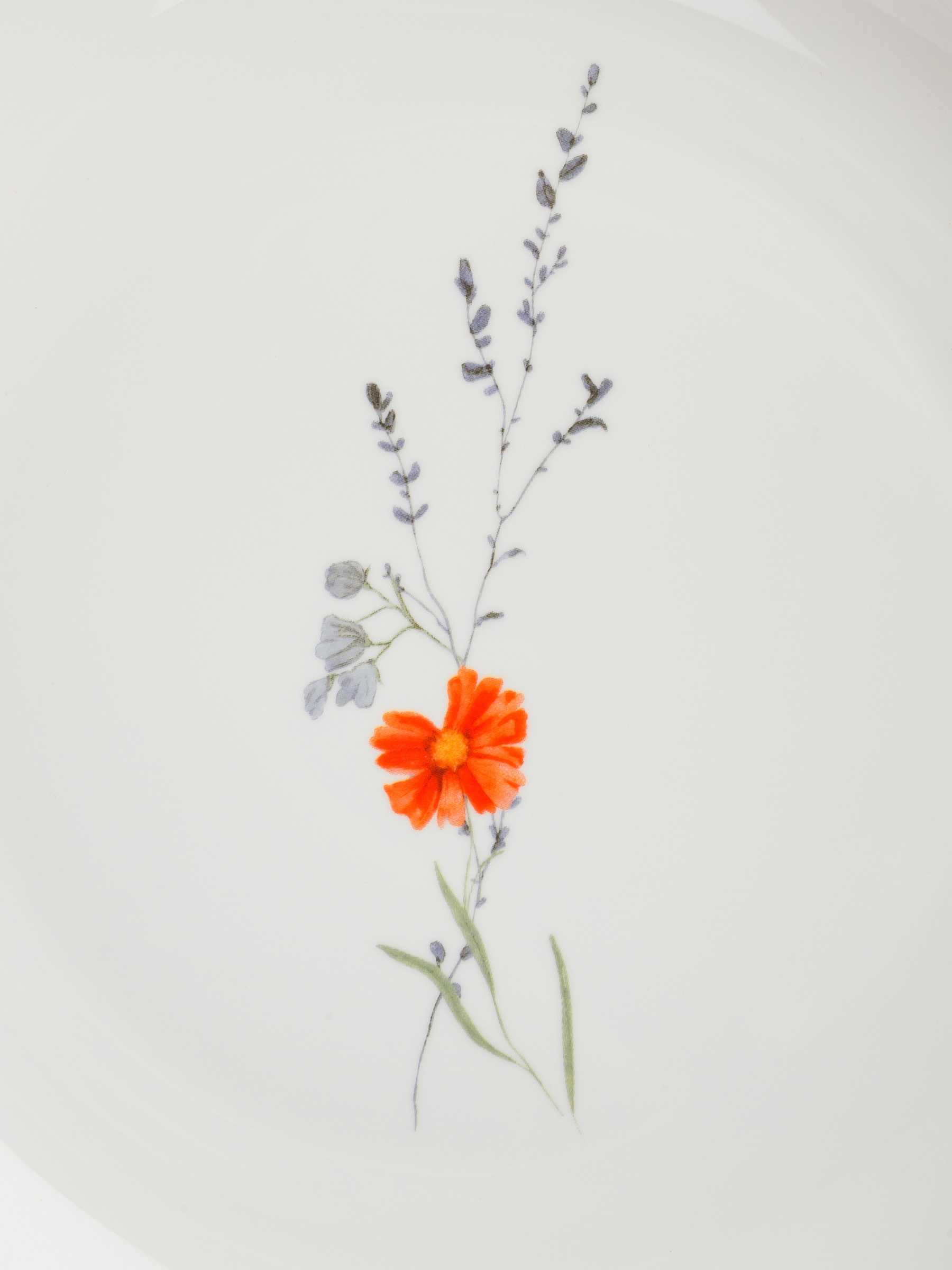 Snack plate, 21 cm, porcelain N, white, with golden edging, wildflowers, Yarrow, image-6