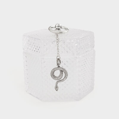 Storage container, 10x11 cm, glass / metal, gray-green, Snake on a chain, Naiad, image-0