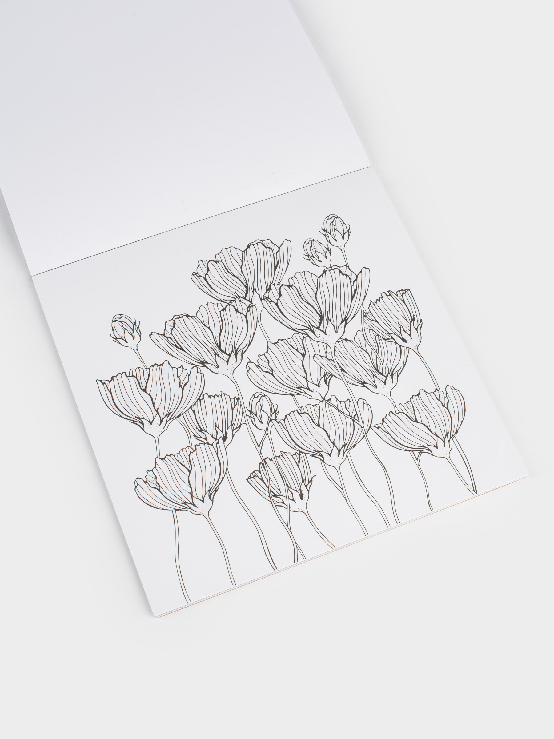 Coloring book, 20x20 cm, 24 sheets, with glitter, Patterns and animals, Draw, image-2