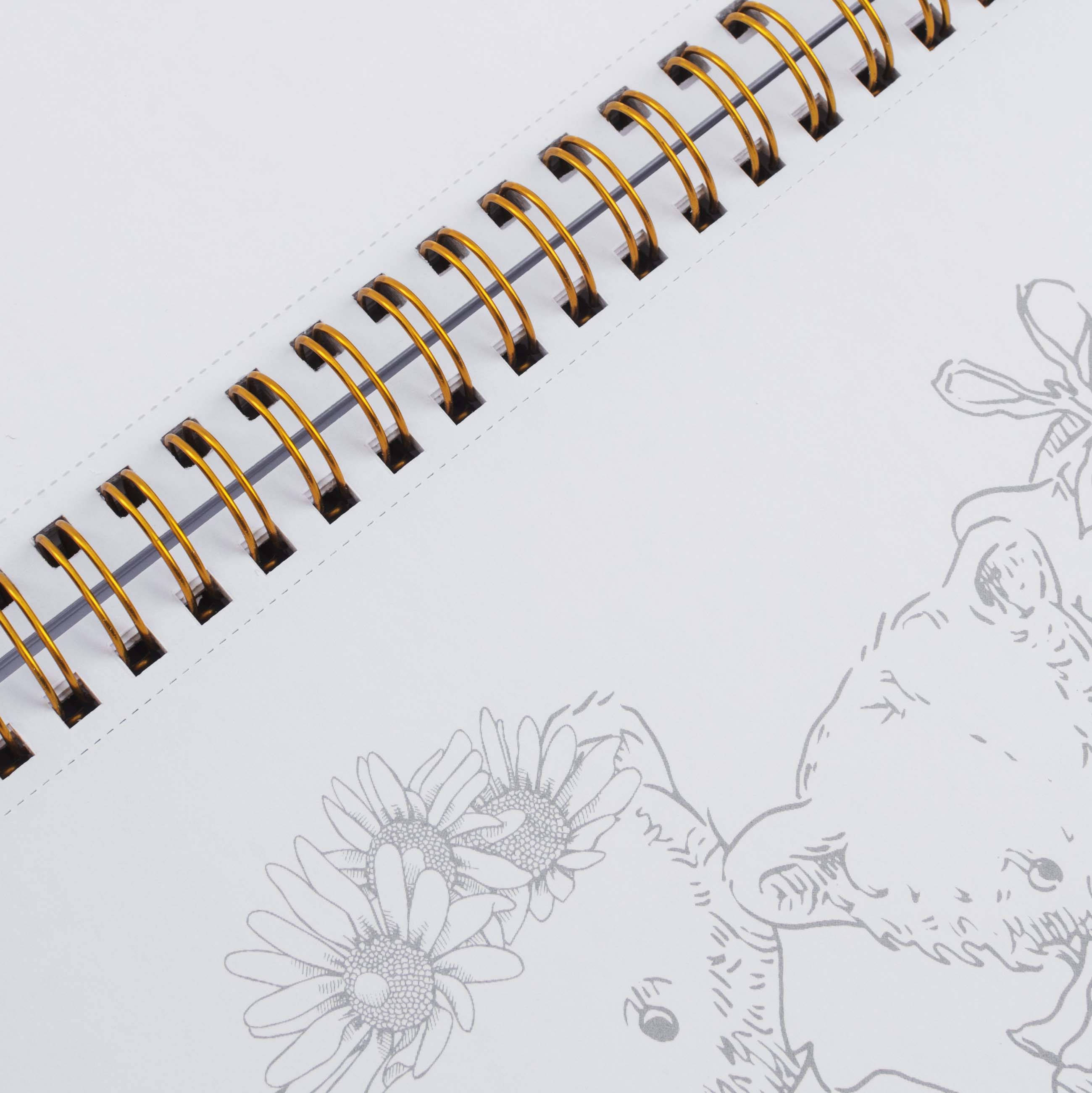 Coloring book, 21x21 cm, 24 sheets, on rings, Animals and Flowers, Draw, image-6