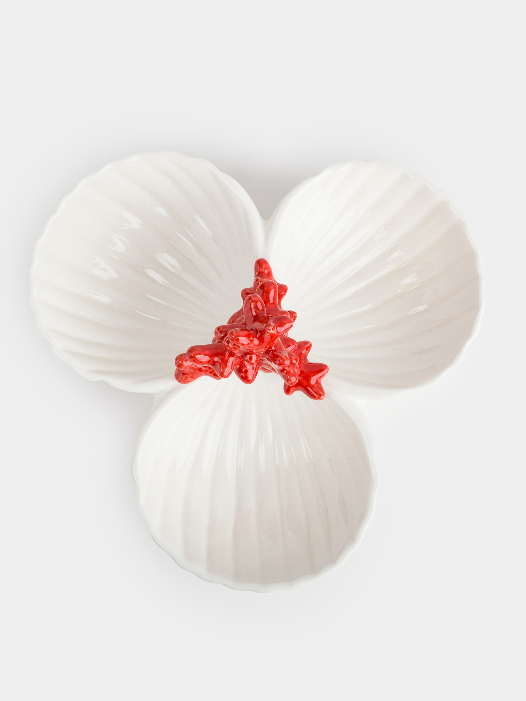 Divided plate, decorated, 26 cm, 3 compartments, porcelain P, white and red, Shells with coral, Coral, image-2