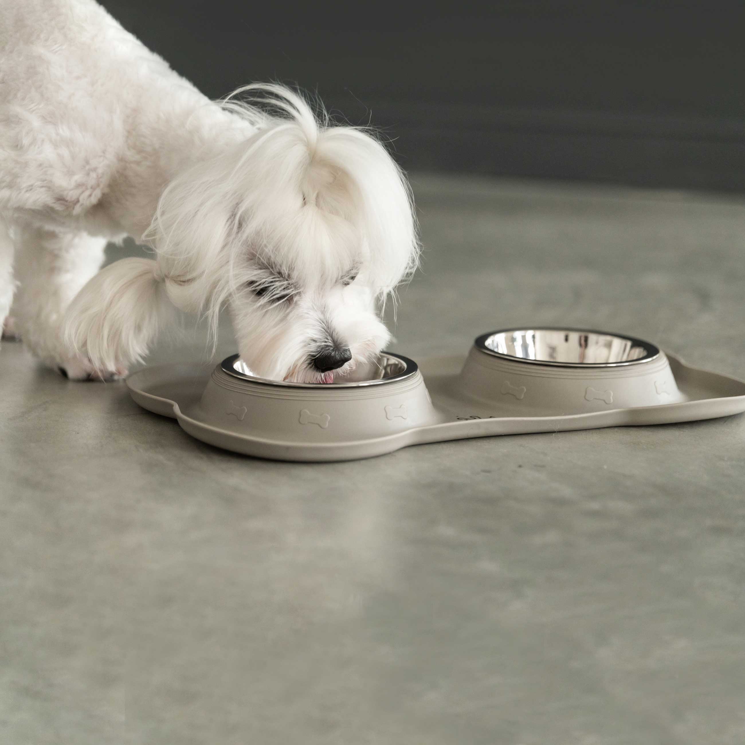 Pet bowl, 36x21 cm, 175 ml, double, on stand, steel / rubber, grey, Favorite pet, image-4