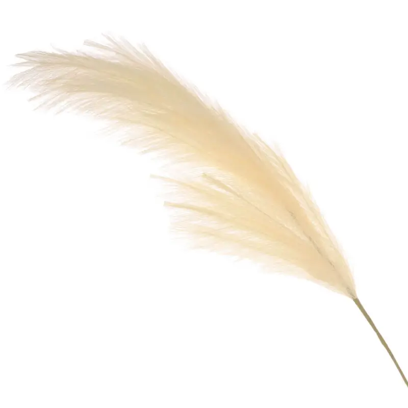 Decorative branch, 1,1 m, polyester, white, Reed, Pampas