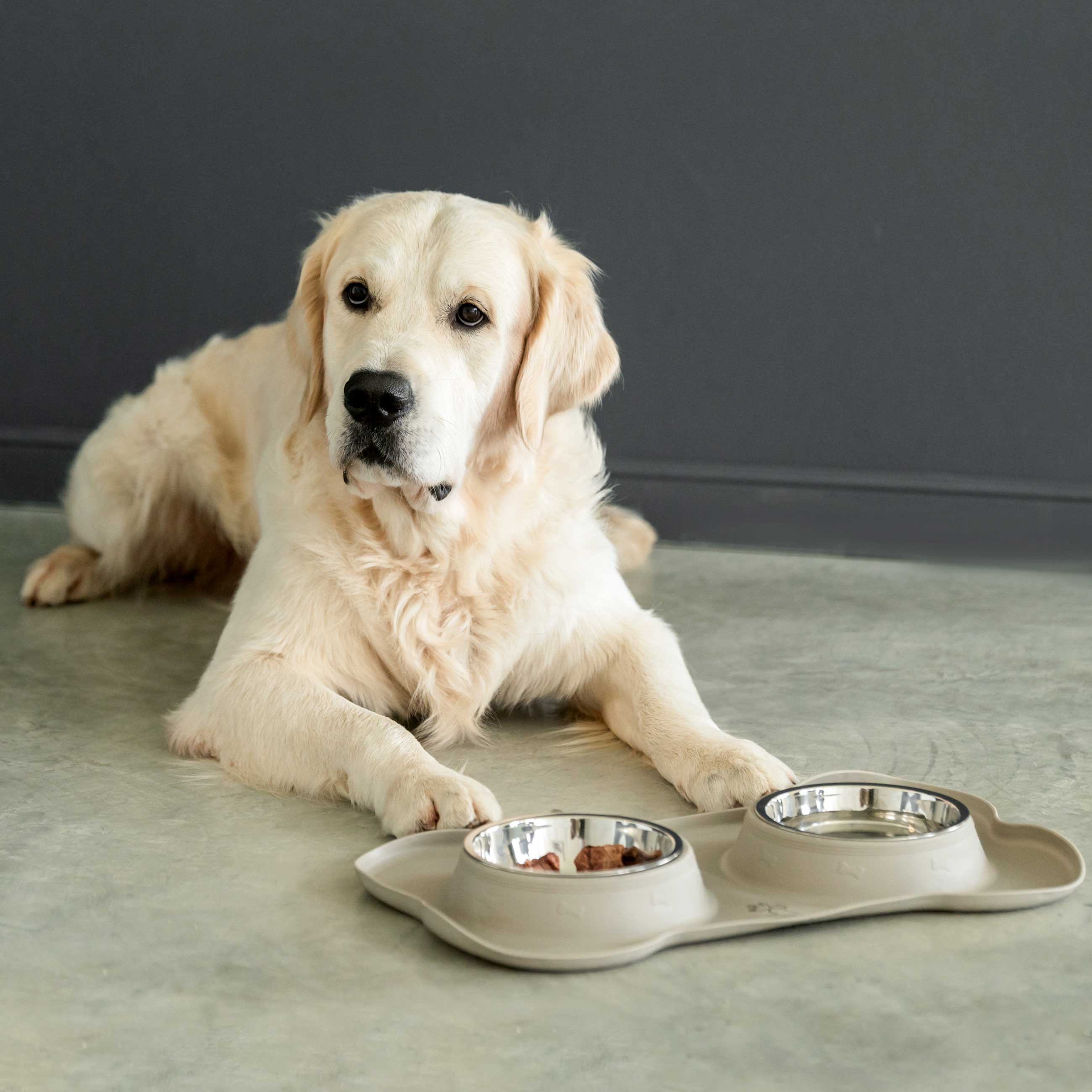 Pet bowl, 46x27 cm, 375 ml, double, on stand, steel / rubber, grey, Favorite pet, image-3