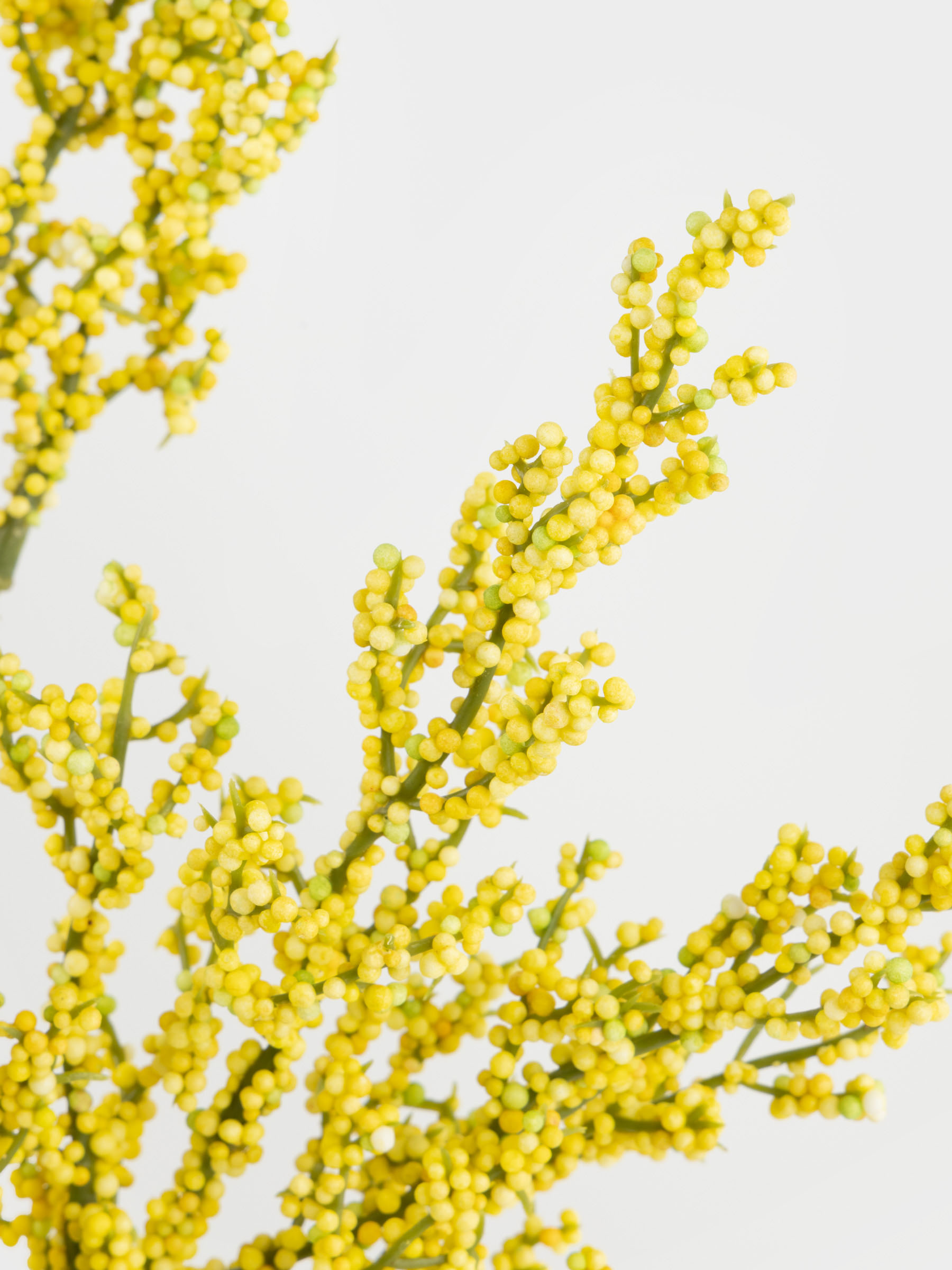 Decorative branch, 78 cm, foam/metal, Yellow berries, Flower garden, image-3