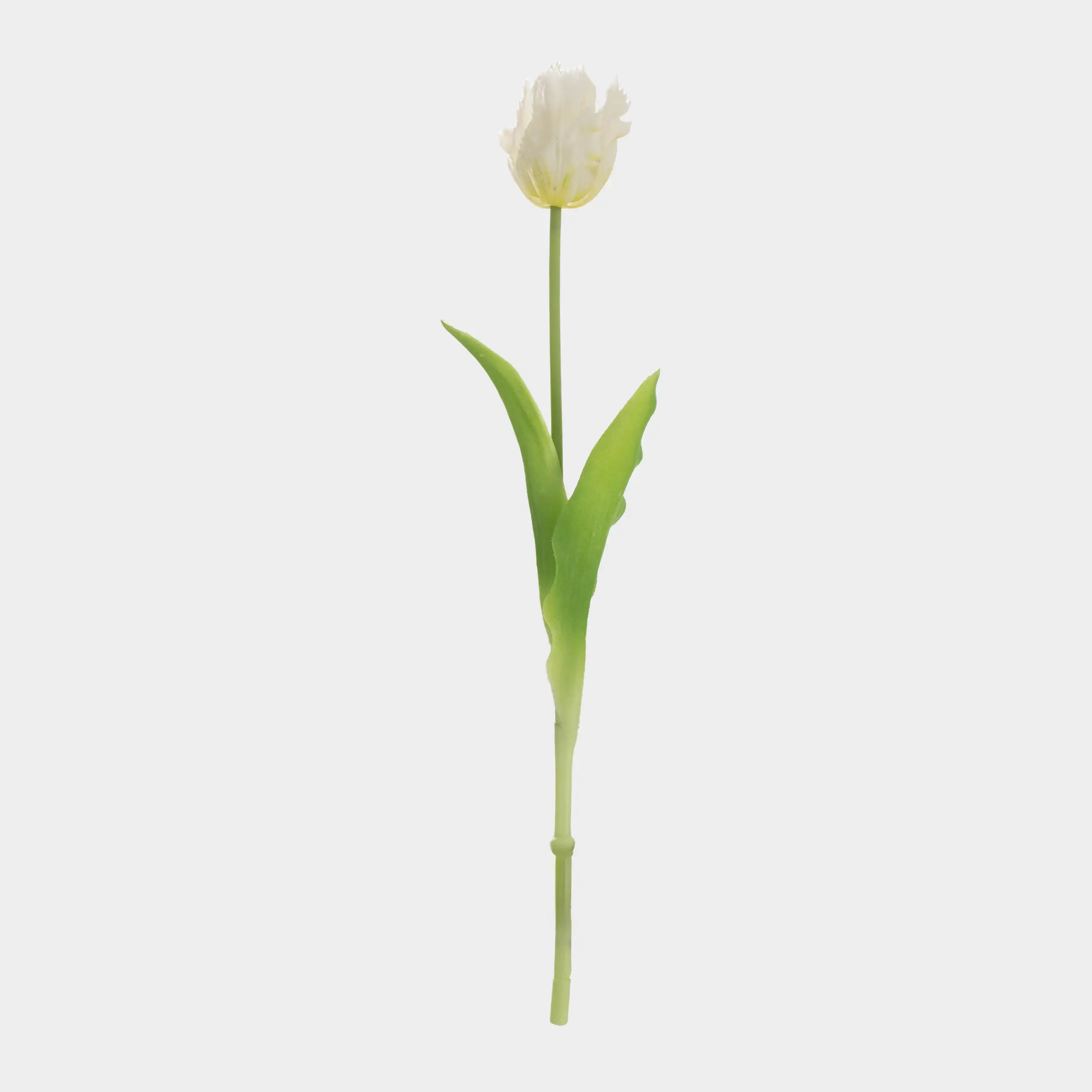 Artificial flower, 47 cm, TEP, White tulip, Tulip garden