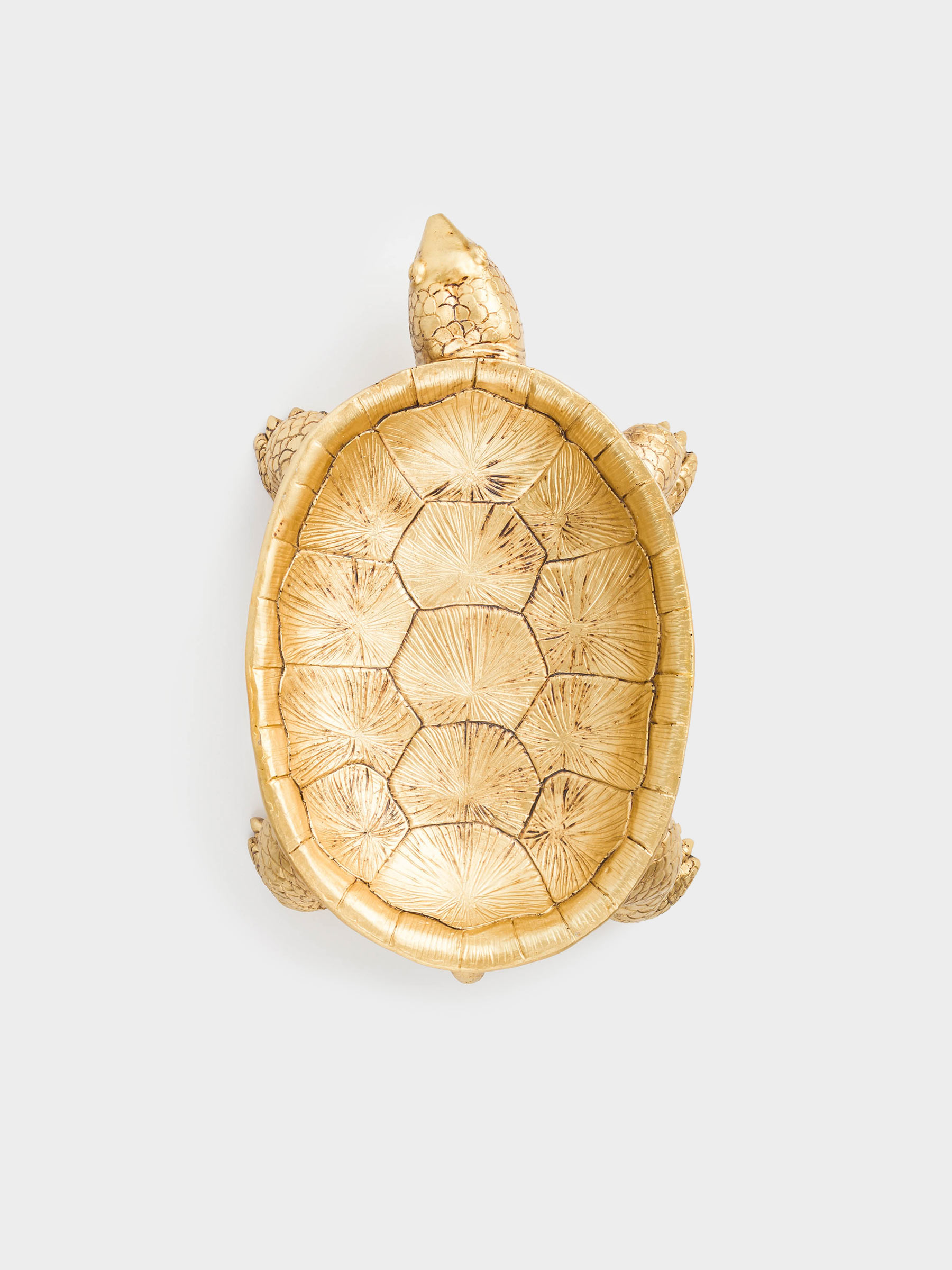 Decorative dish, 31x18 cm, polyresin, golden, Turtle, Coast, image-1