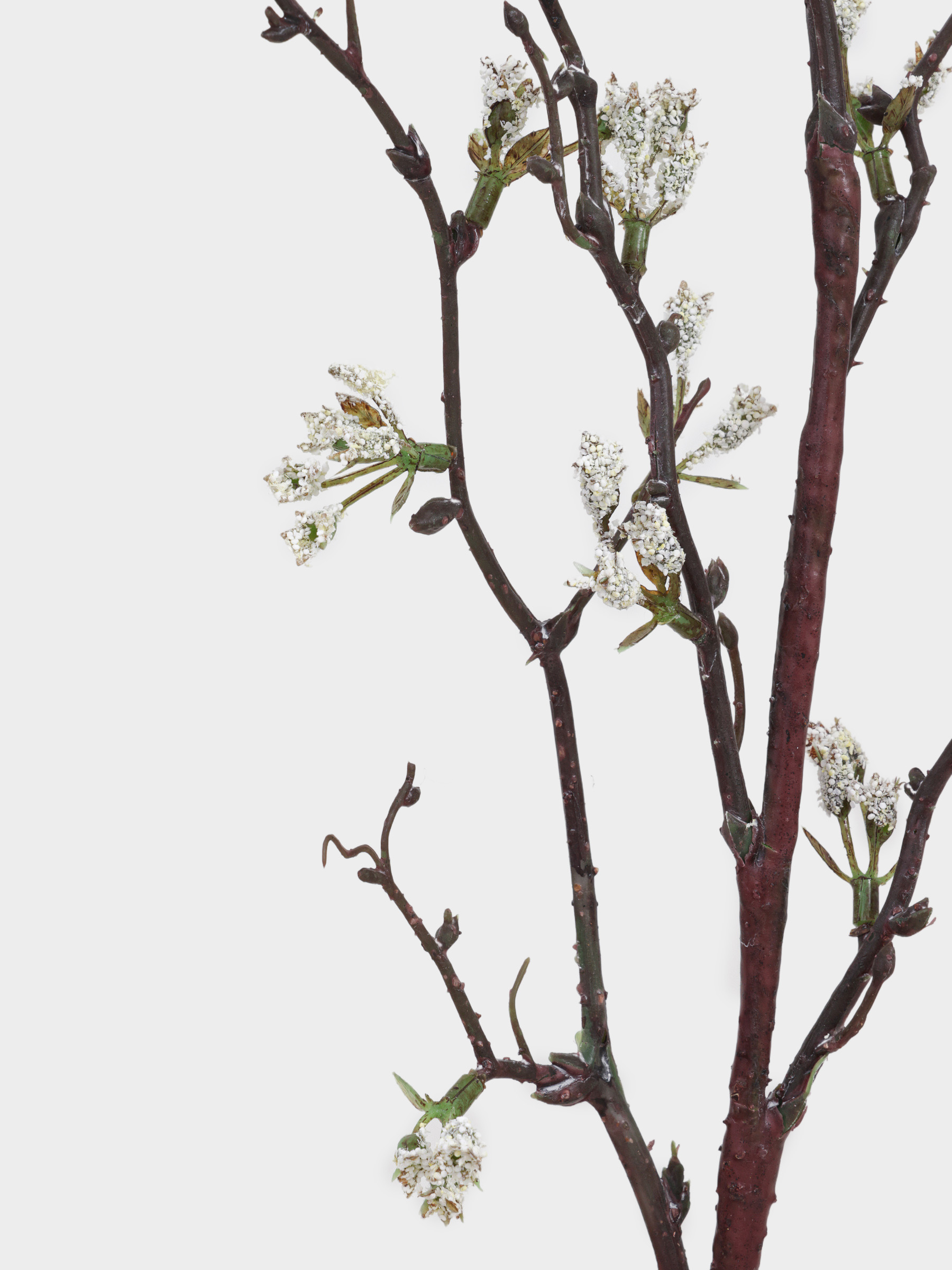 Decorative branch, 98 cm, plastic / polyester, White buds, Flower garden, image-2