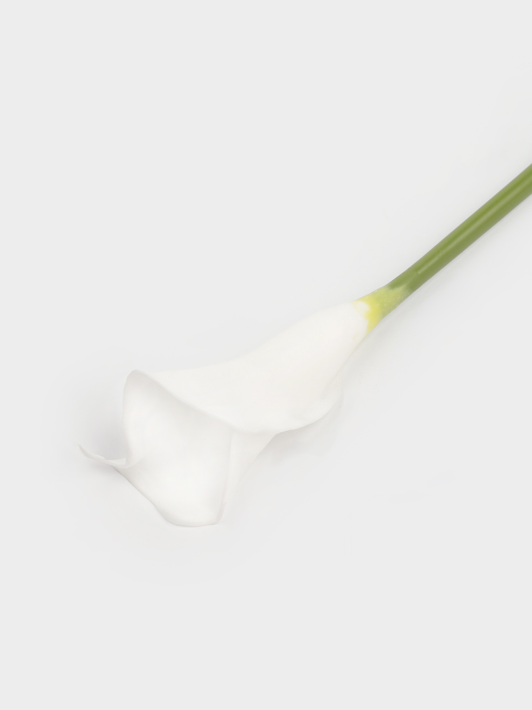 Artificial flower, 45 cm, polyurethane / PVC, White Calla, Flower garden, image-3
