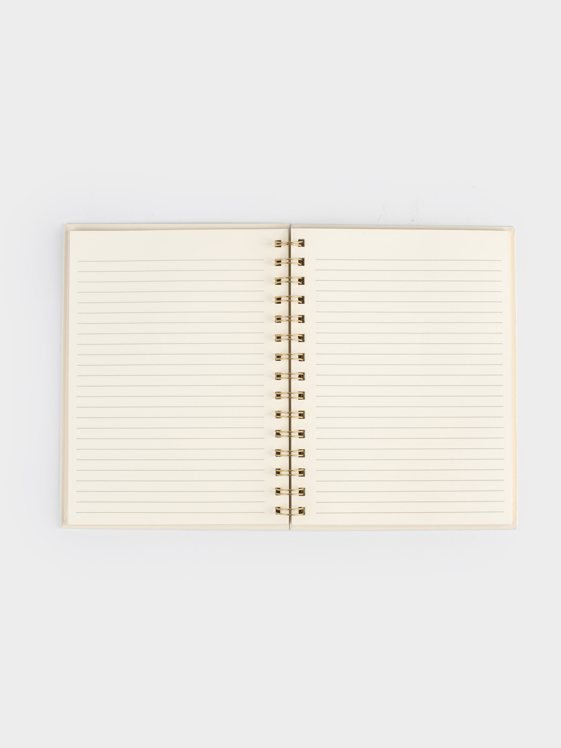 Notepad for notes, 15x20 cm, 70 l, on rings, cardboard, Picture, Stationery, image-4