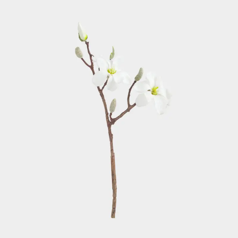 Decorative branch, 46 cm, TEP / plastic, White magnolia, Magnolia