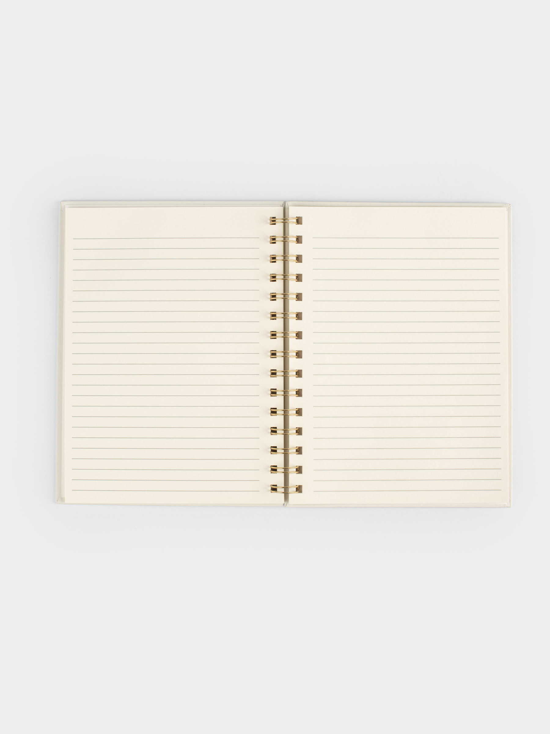 Notepad for notes, 15x20 cm, 70 l, on rings, PVC, Sphere with glitter, Stationery, image-2