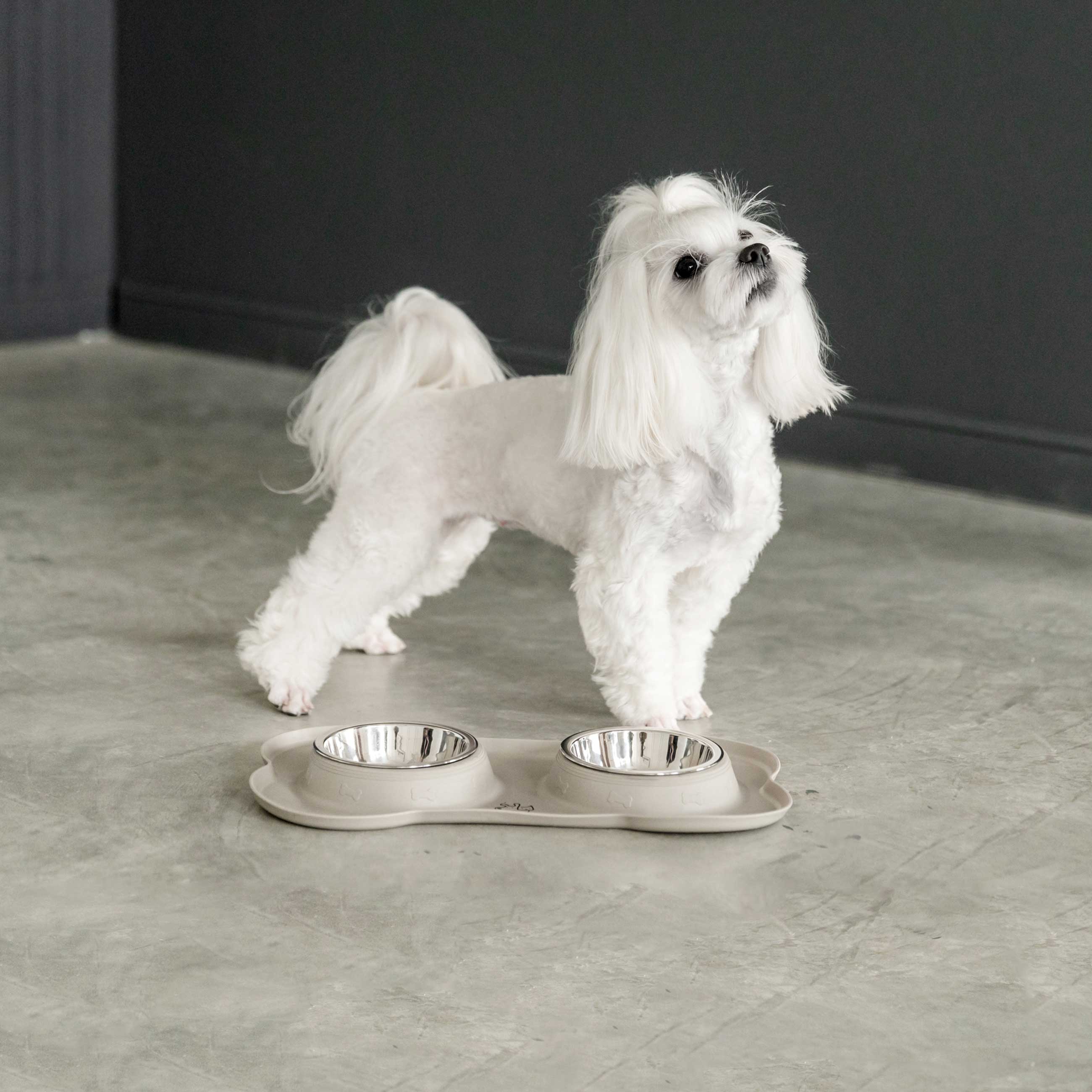 Pet bowl, 36x21 cm, 175 ml, double, on stand, steel / rubber, grey, Favorite pet, image-3
