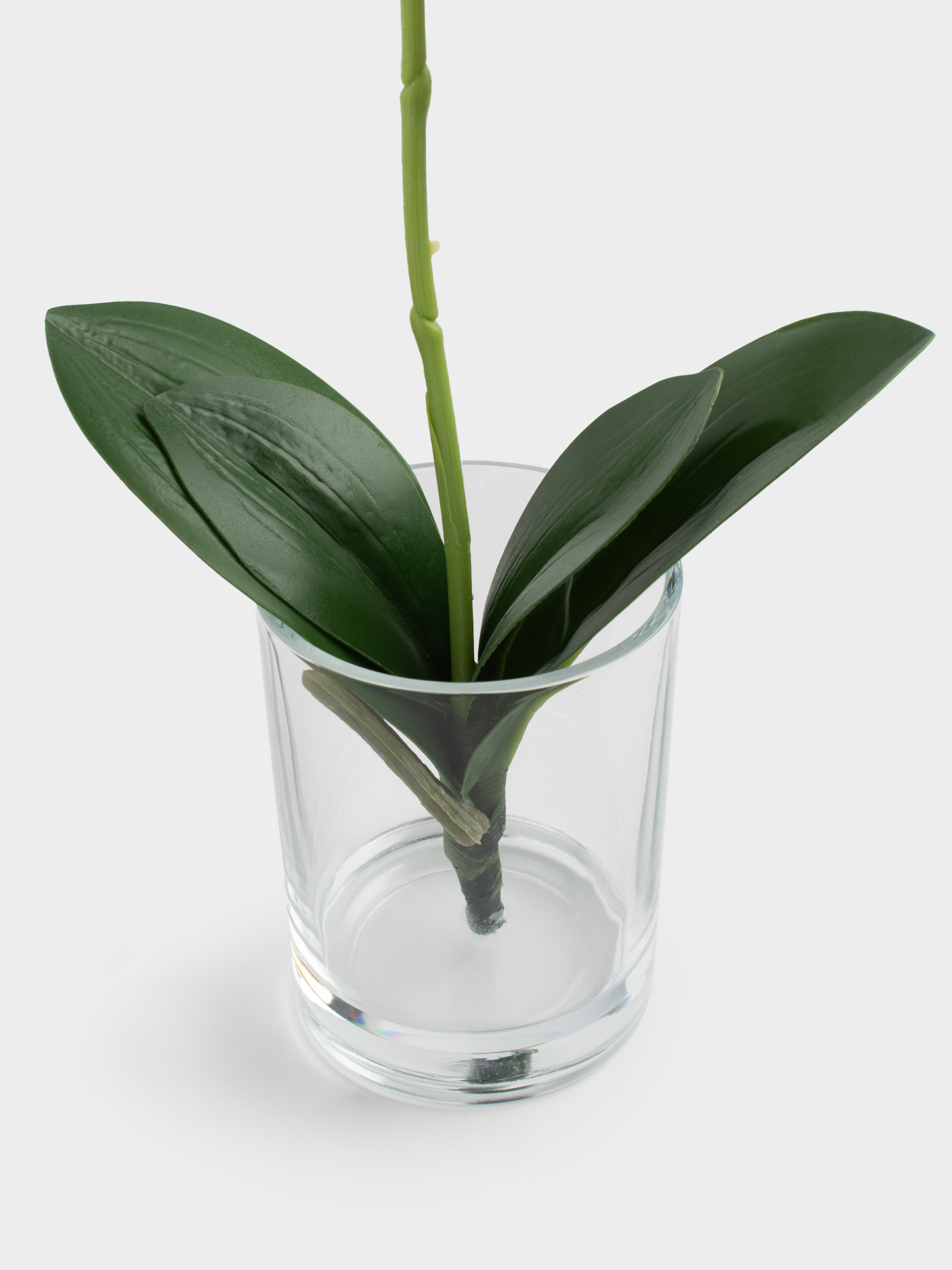 Artificial bouquet, 26 cm, in a vase, TEP / glass, White orchid, Orchid, image-2