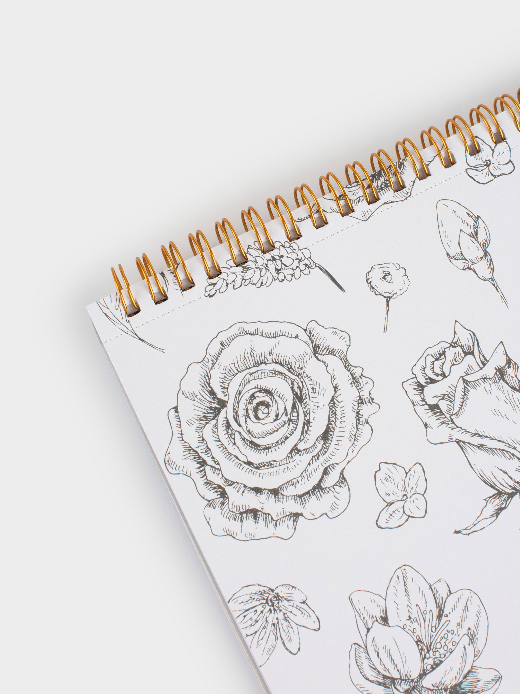 Coloring book, 21x21 cm, 24 sheets, on rings, Romance, Draw, image-6