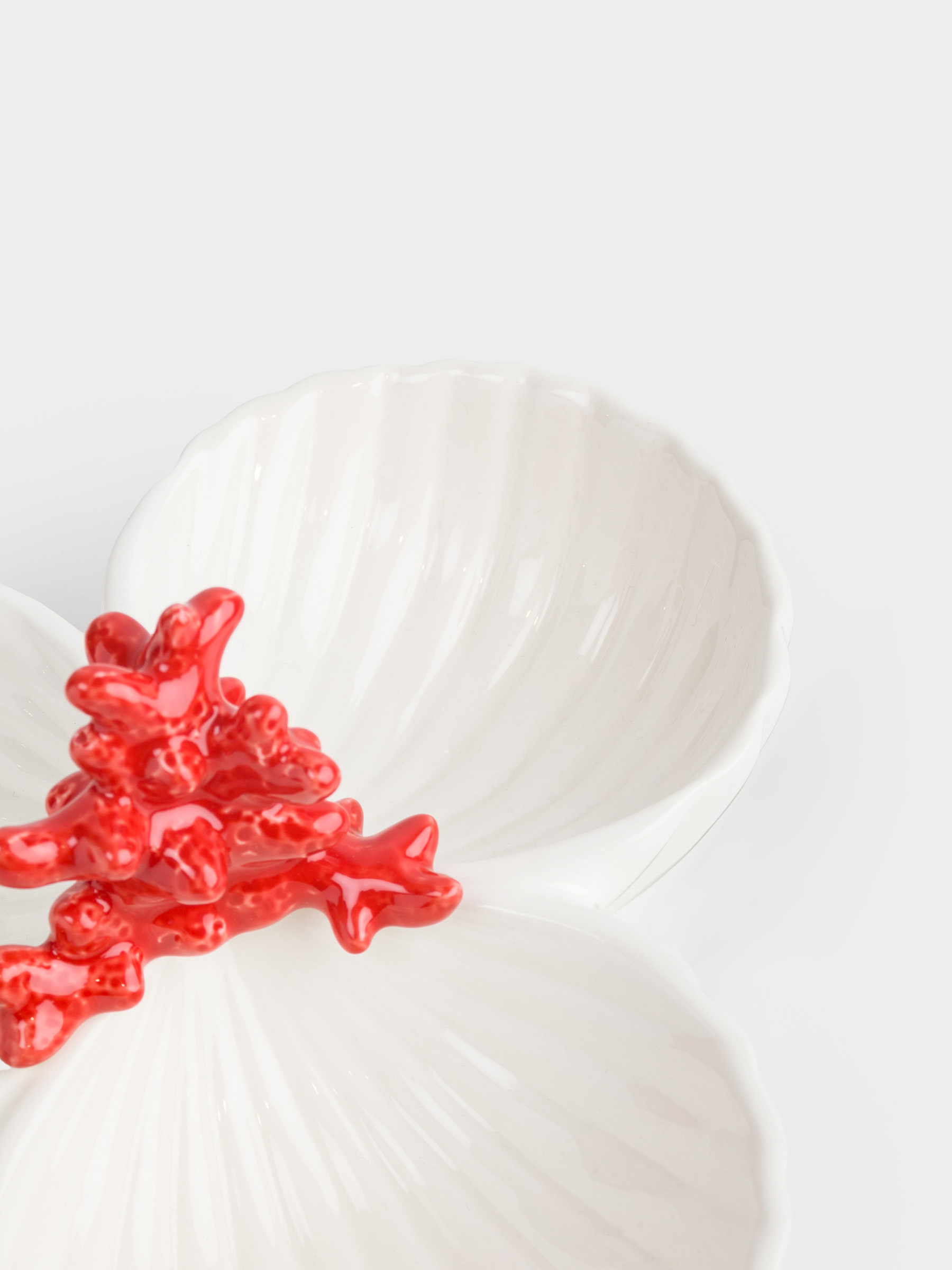 Divided plate, decorated, 26 cm, 3 compartments, porcelain P, white and red, Shells with coral, Coral, image-3