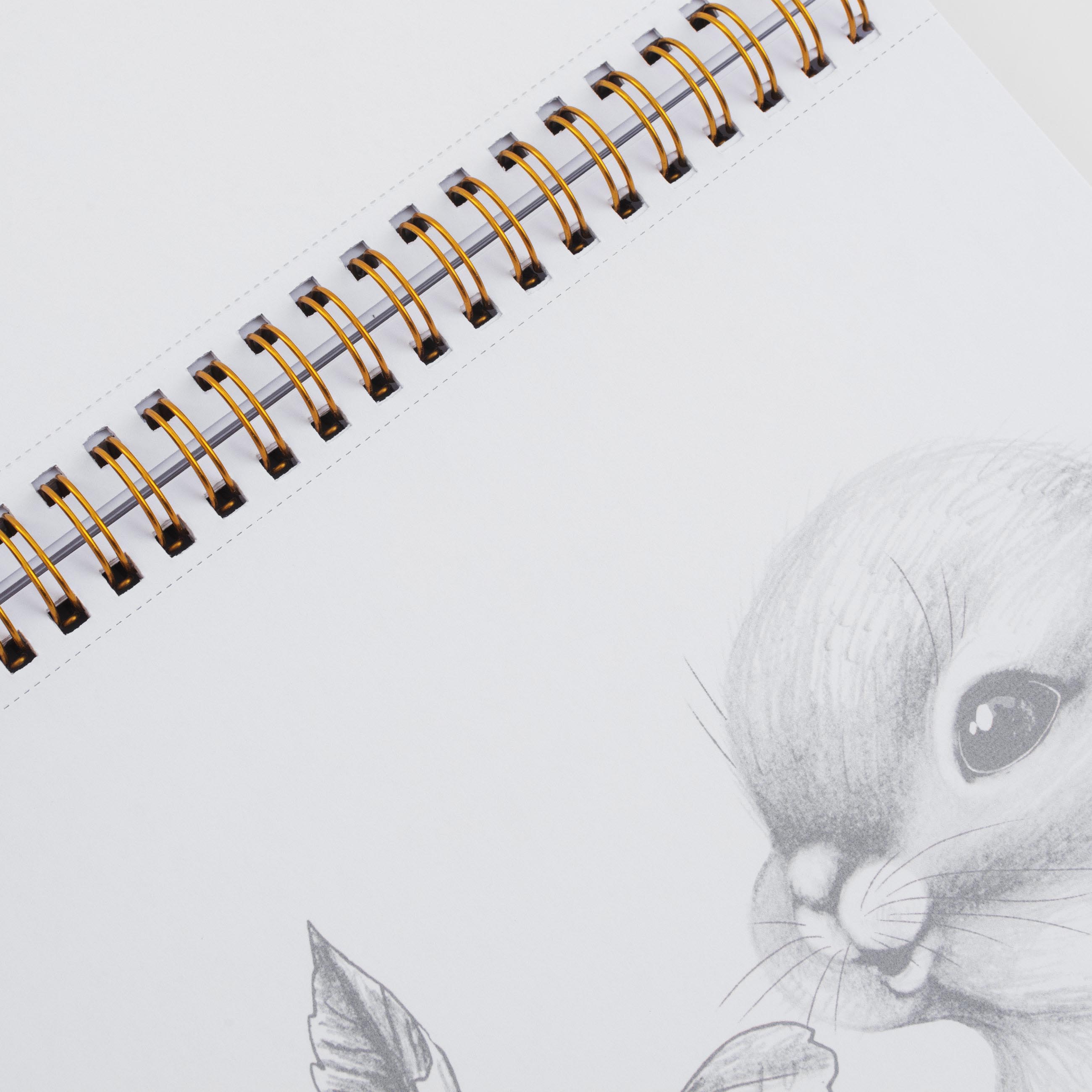 Coloring book, 21x21 cm, 24 sheets, on rings, Animals, Draw, image-6