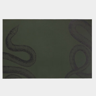 Placemat, 30x45 cm, PVC, rectangular, dark green, Snake, Rock print