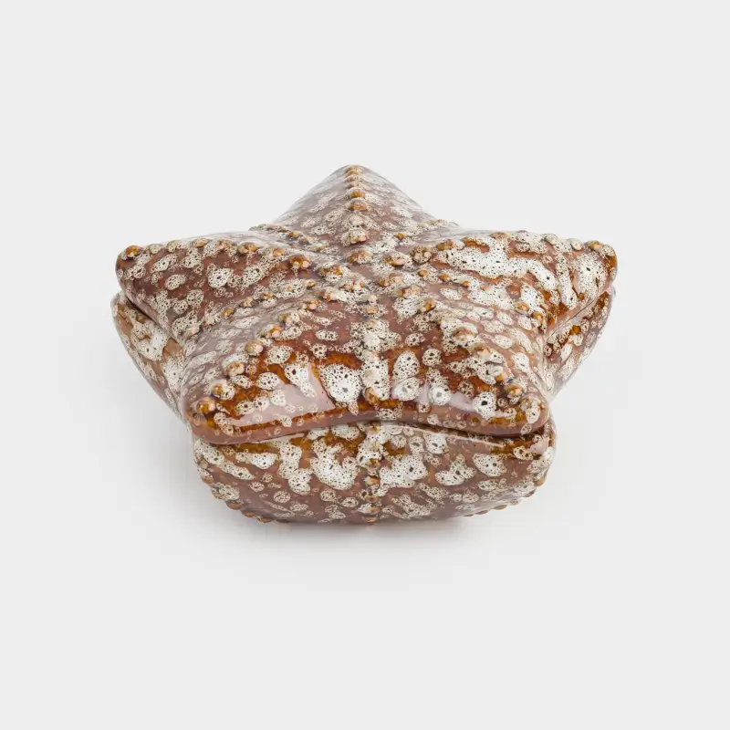 Jewelry box, 11x5 cm, ceramic, brown, Star, Seaside ,image-0