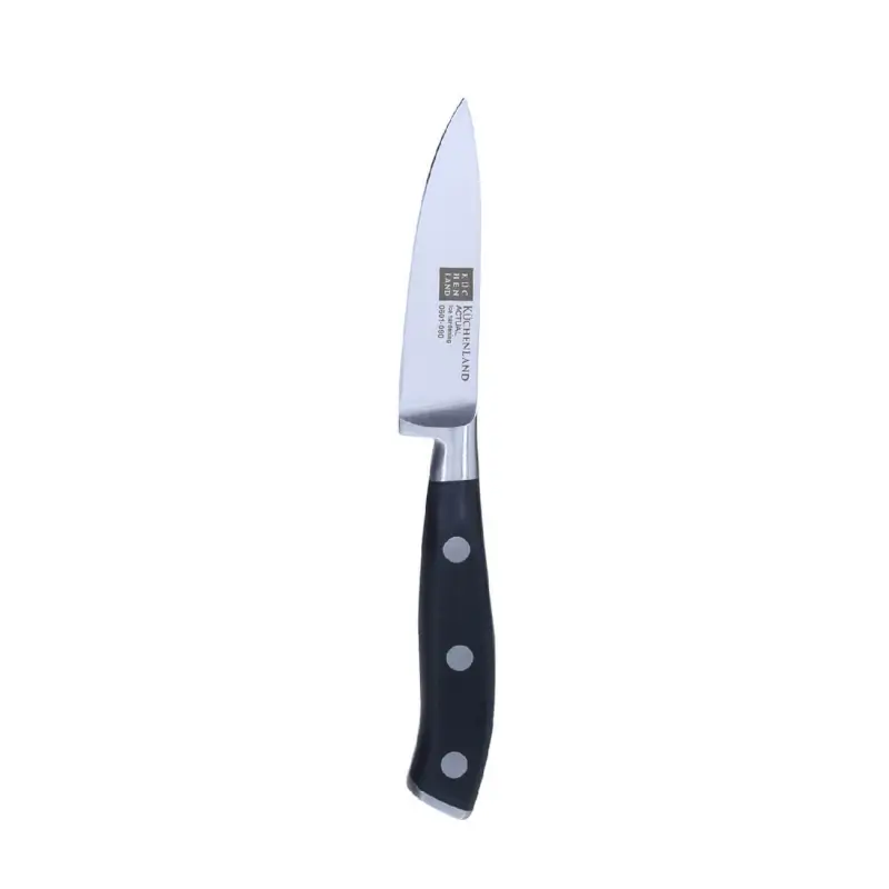 Paring knife, 9 cm, steel / plastic, Actual